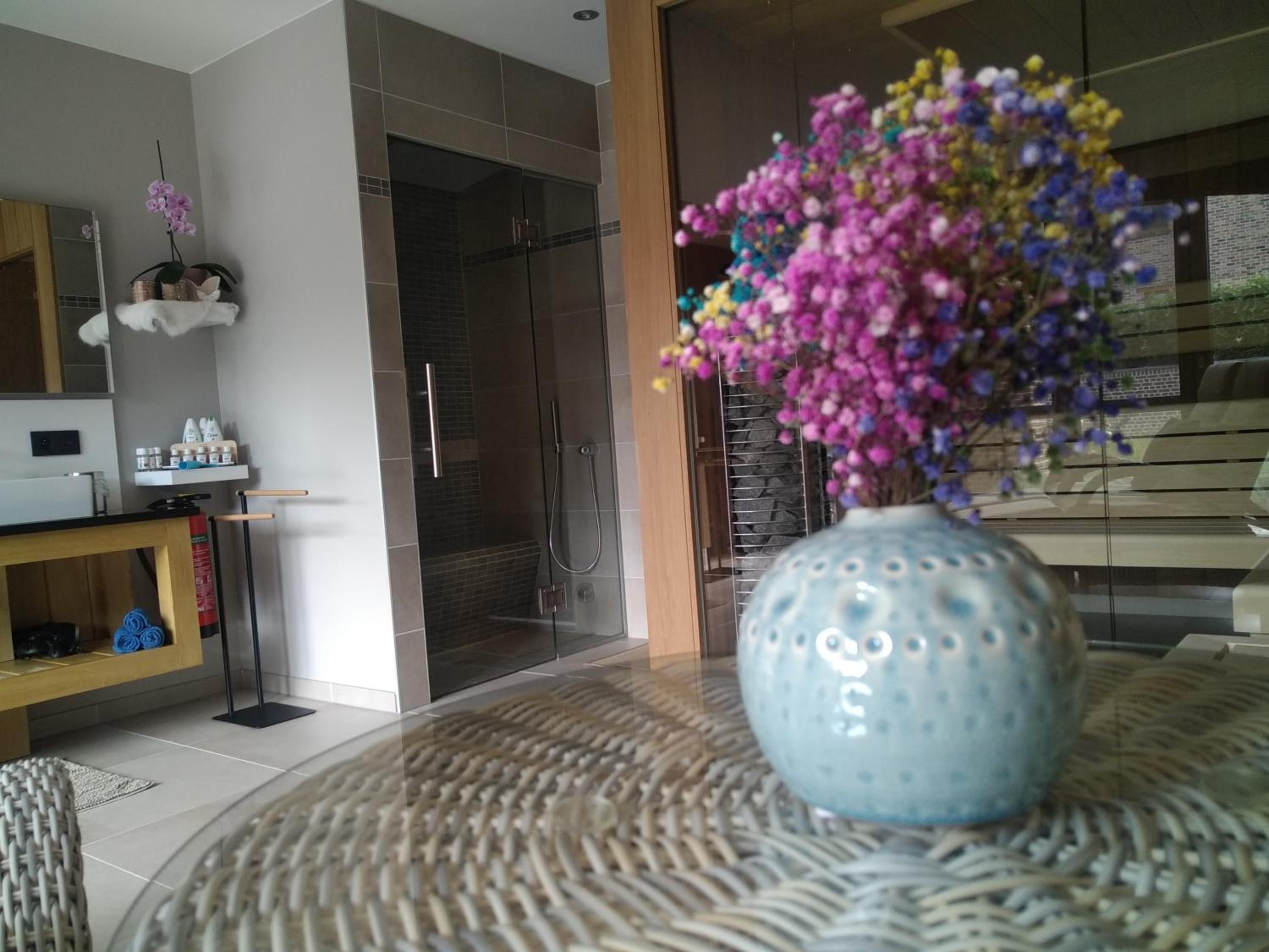 Vakantiewoning Mierzicht - privé wellness - Haspengouw 6p