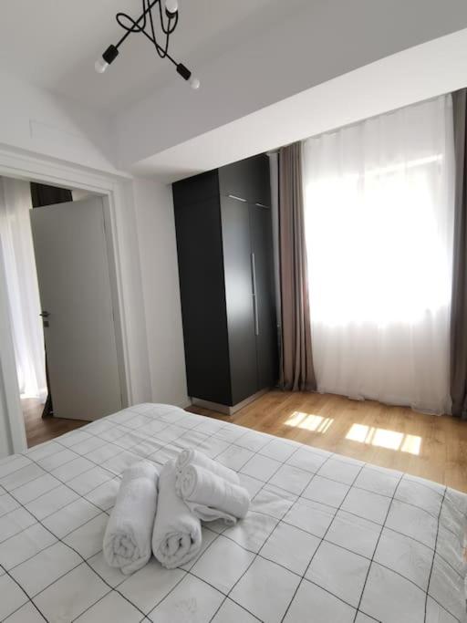 City Center Accommodation - 410 view 2