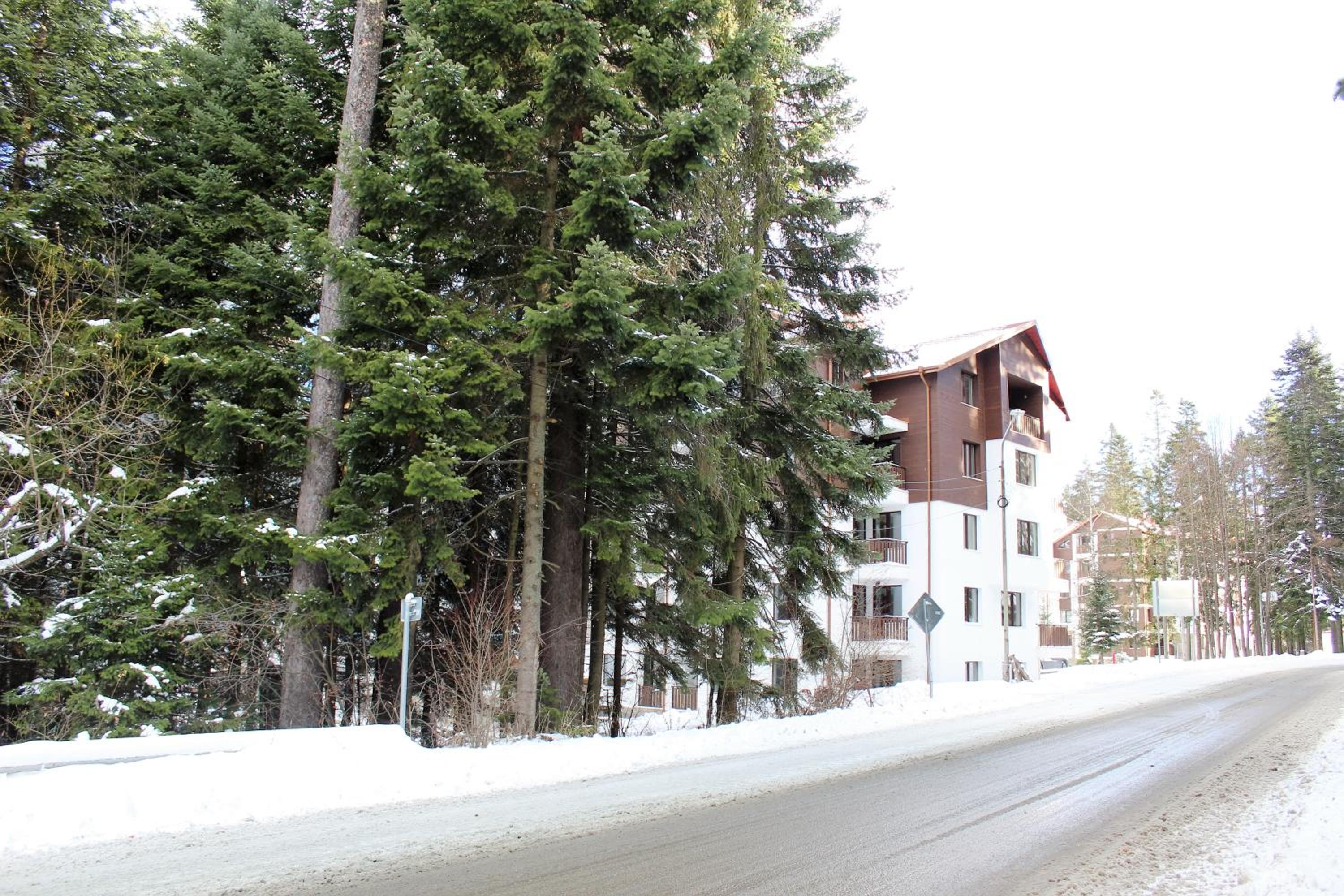 Photo 90