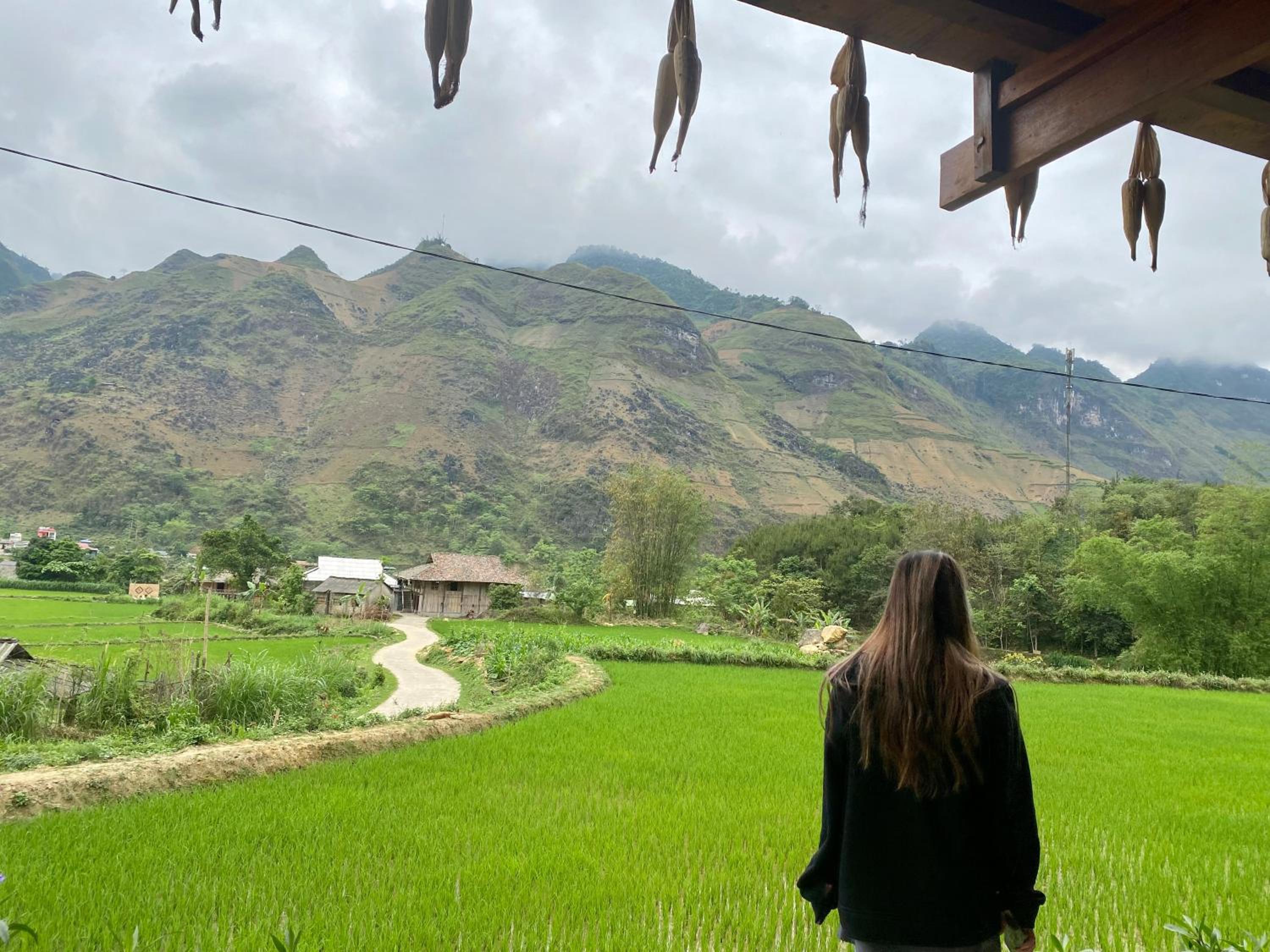 Du Gia Field View Homestay