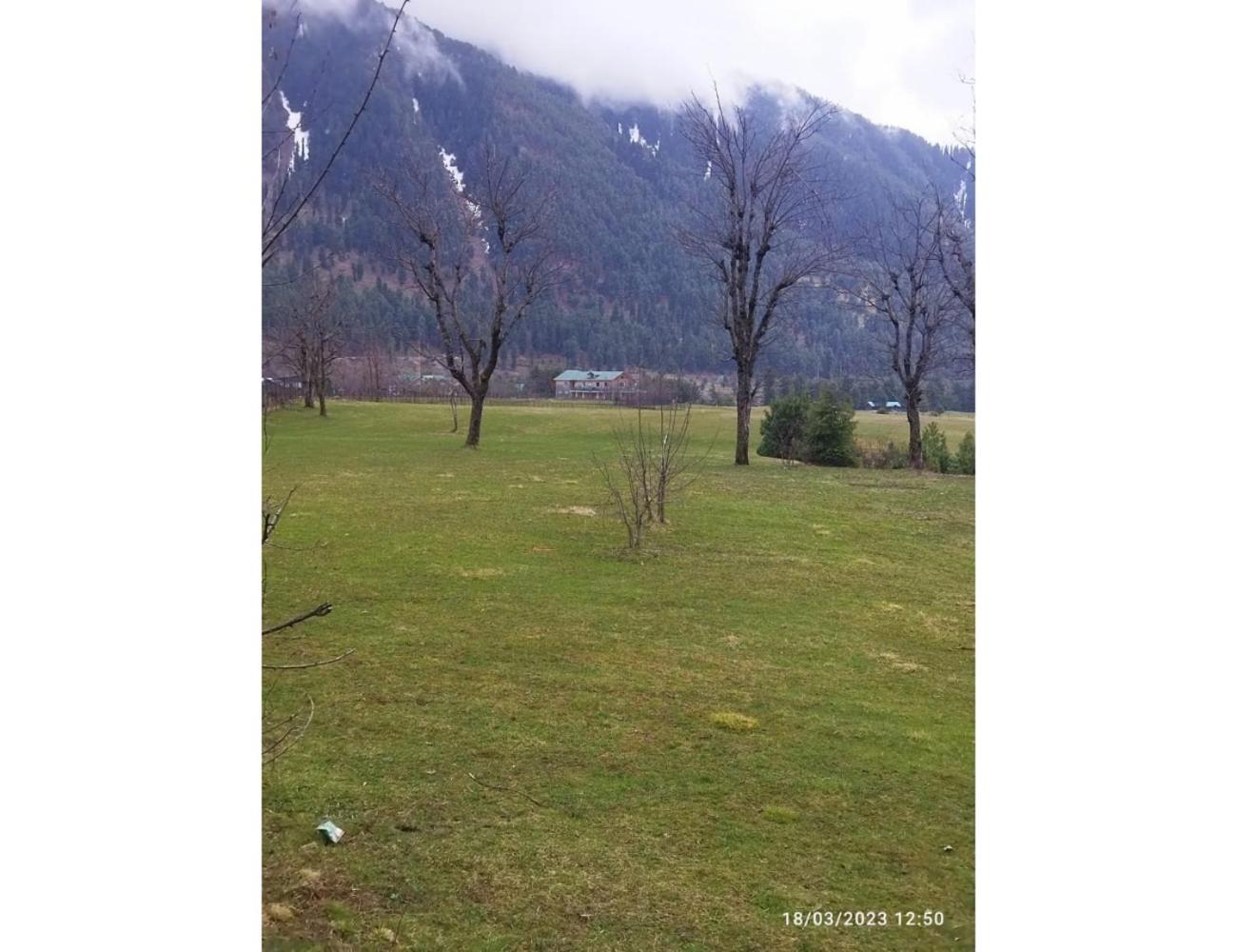 Photo 35
