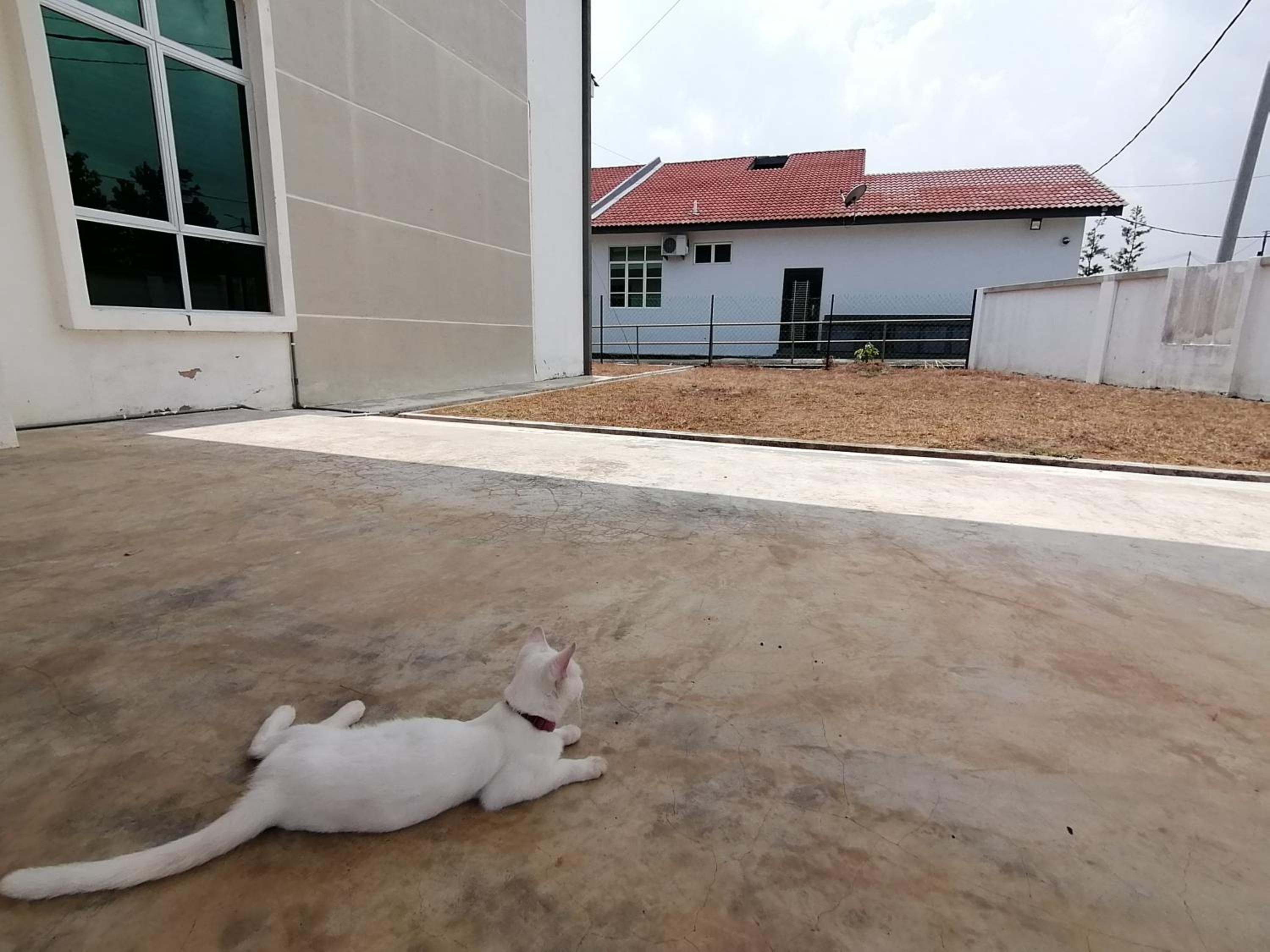Homestay 88A Melaka for 9 pax with Private Pool, Smart TV, Netflix and Wifi, photo 17