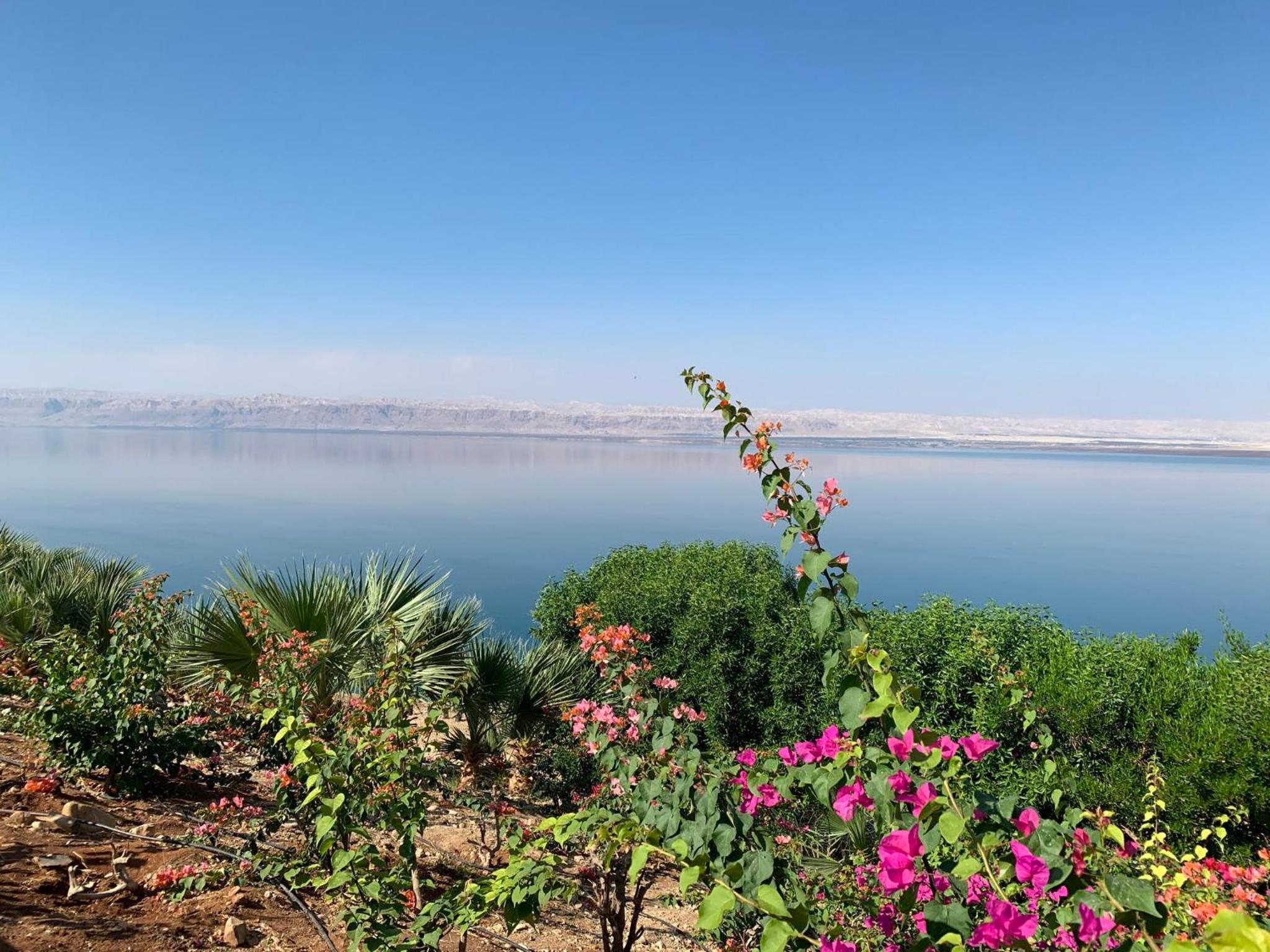 Samarah Dead Sea Resort Apartment with Sea View FP4 Traveler Award 2025 Winner Thursday, Friday & Saturday Groups consisting solely of male guests are not  view 4