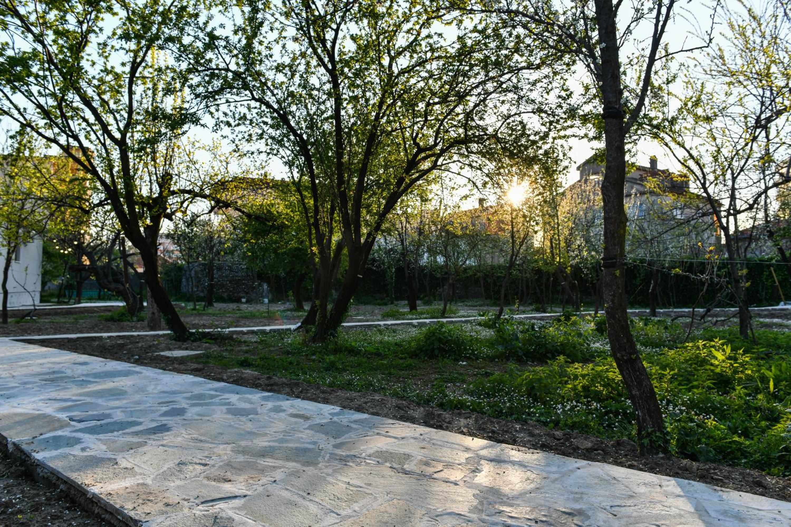Nicolaus Hidden Gem Villa
