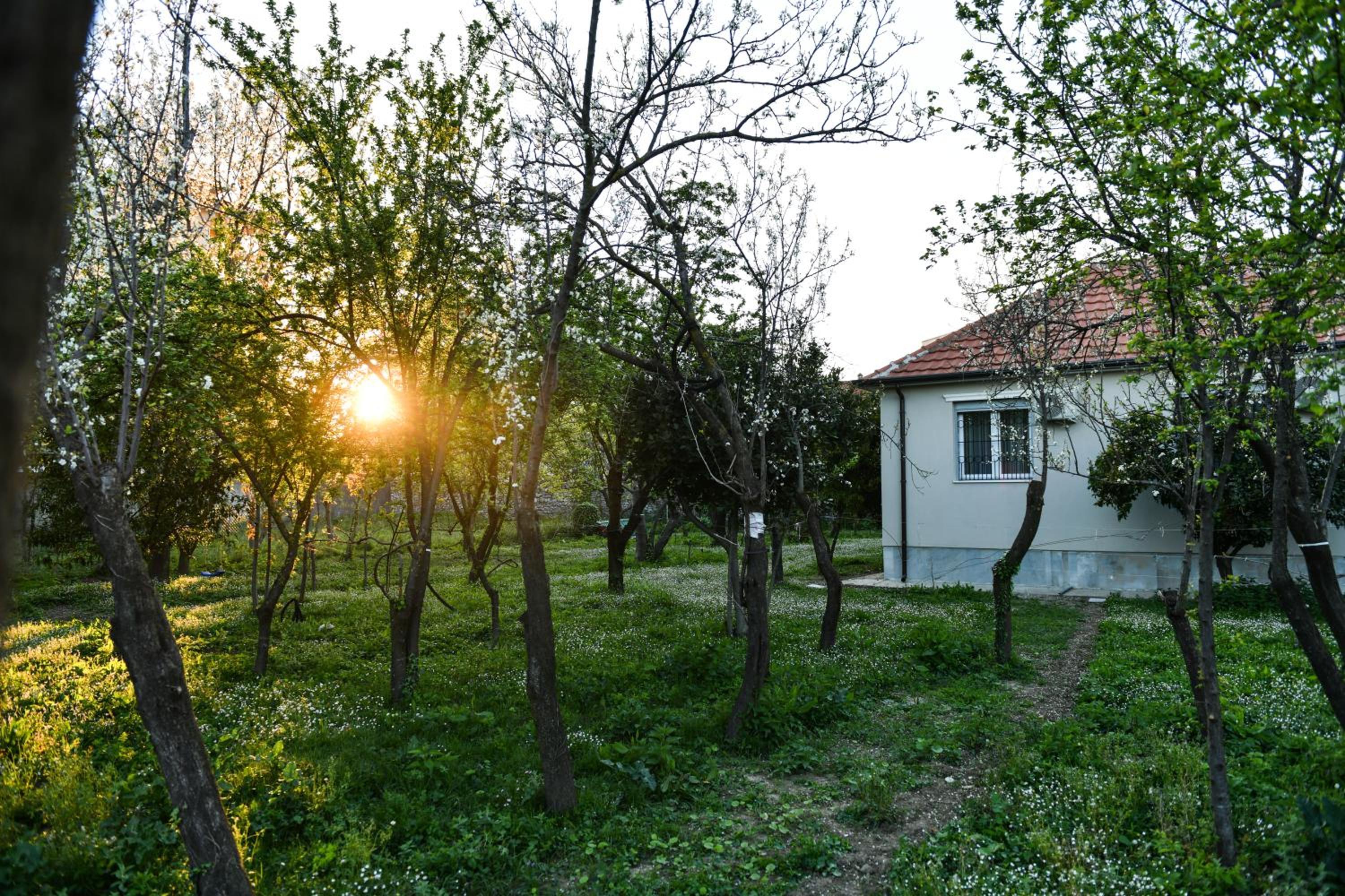 Nicolaus Hidden Gem Villa