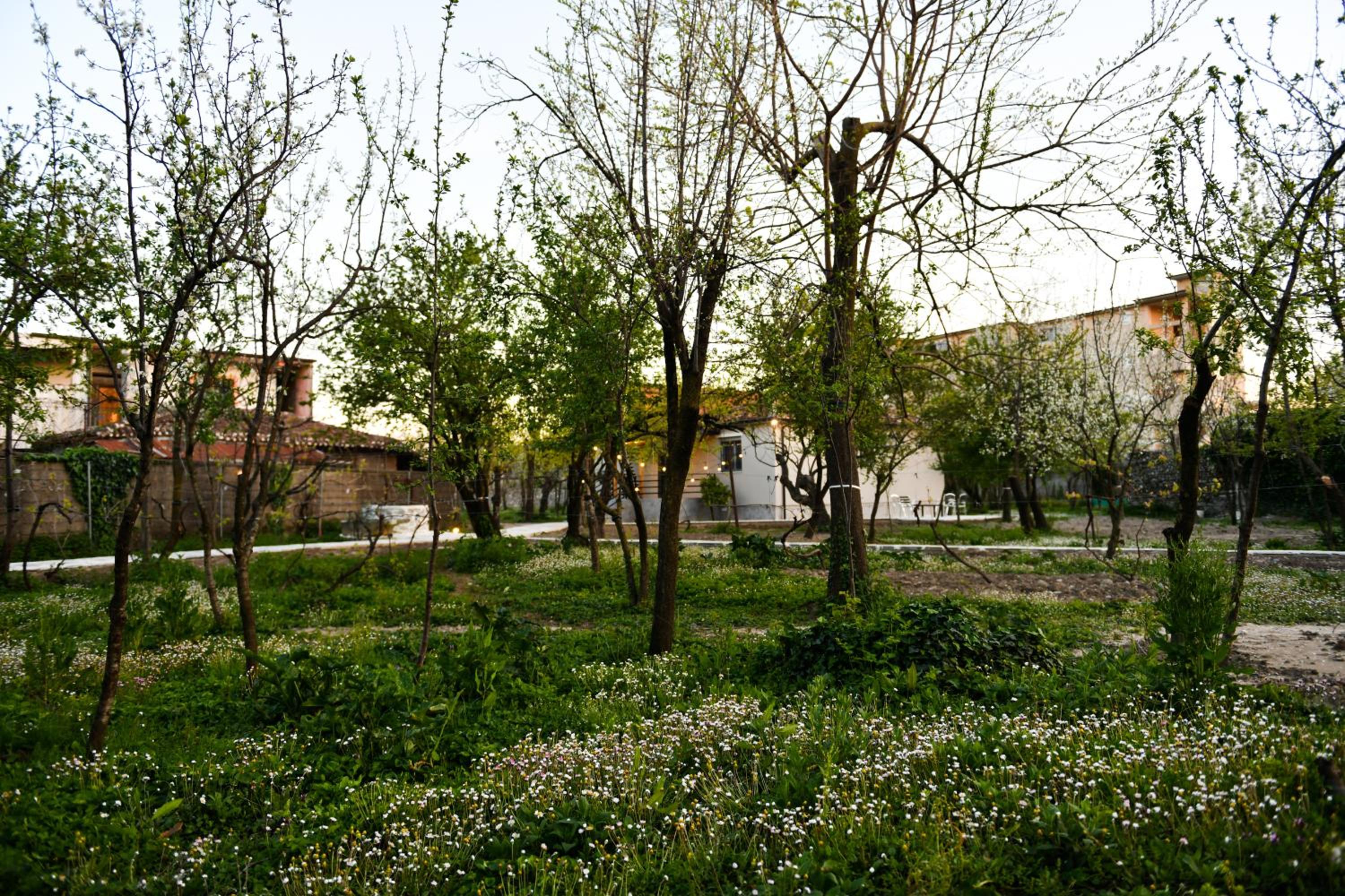 Nicolaus Hidden Gem Villa