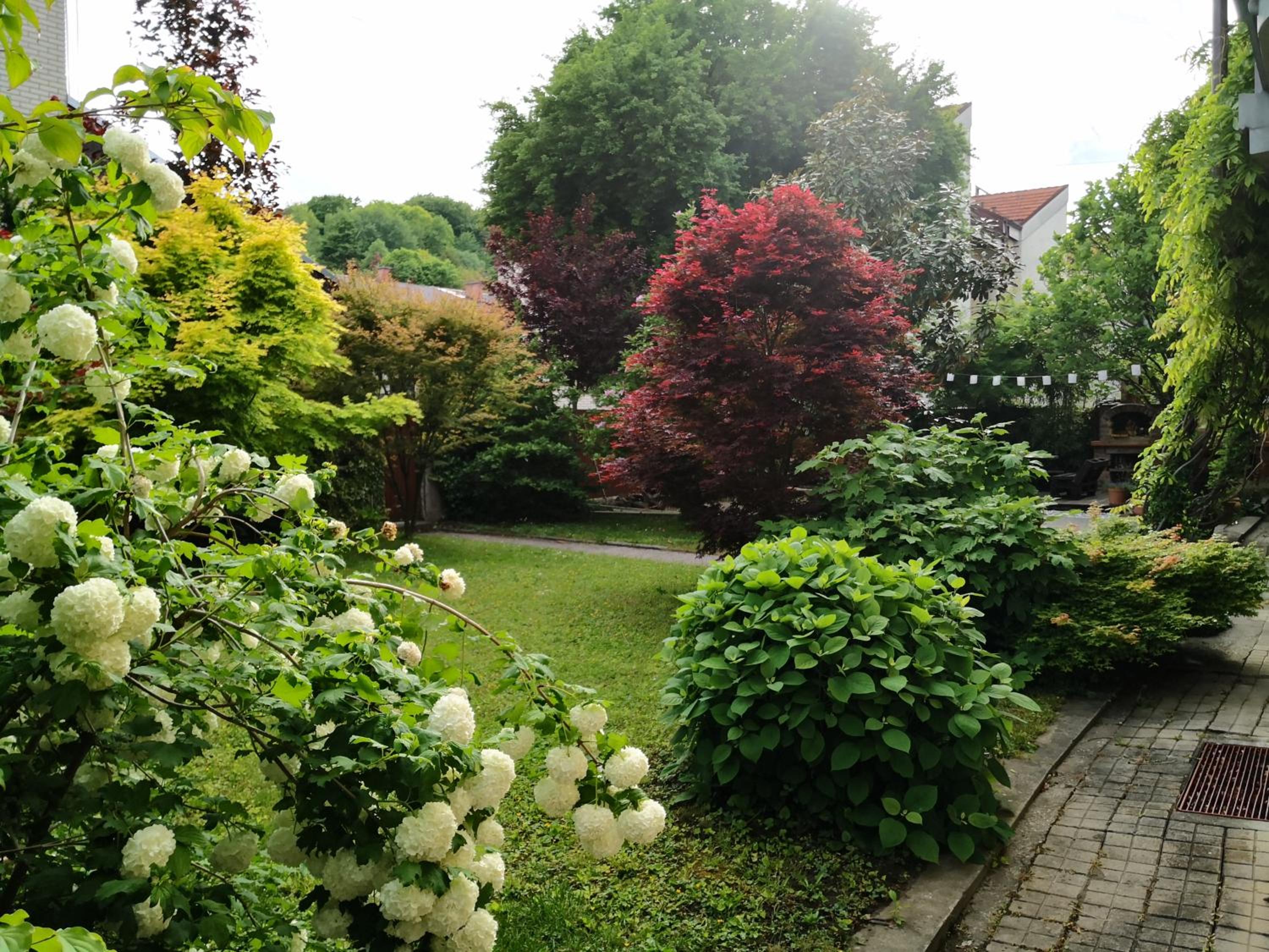 Grossmann Apartment view 4