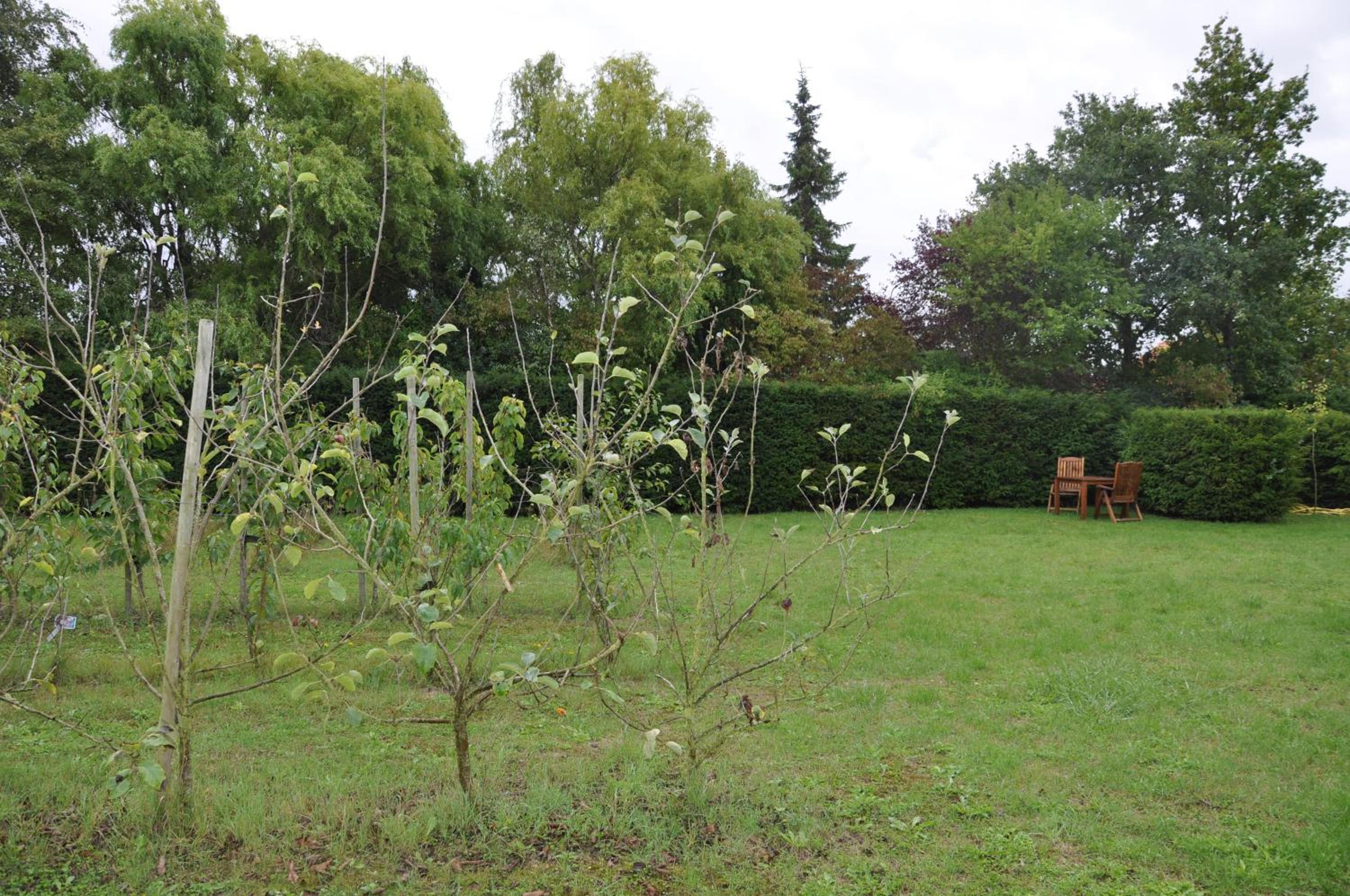 Photo 29