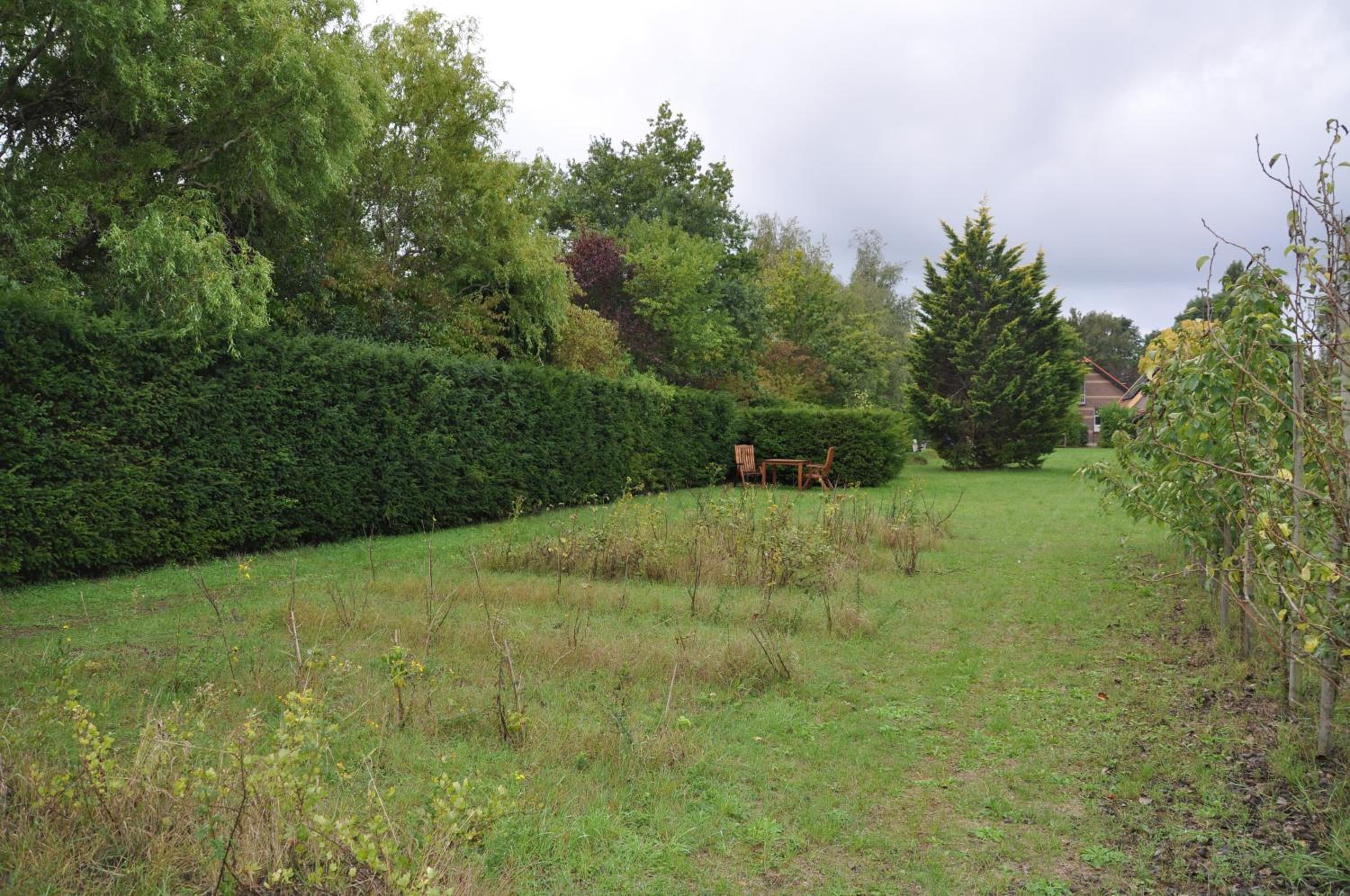 Photo 31