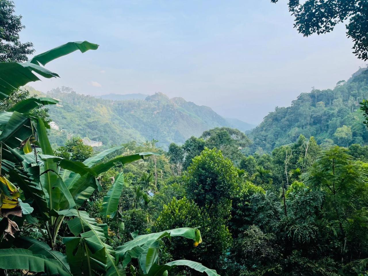 Mid Scenery Home Stay