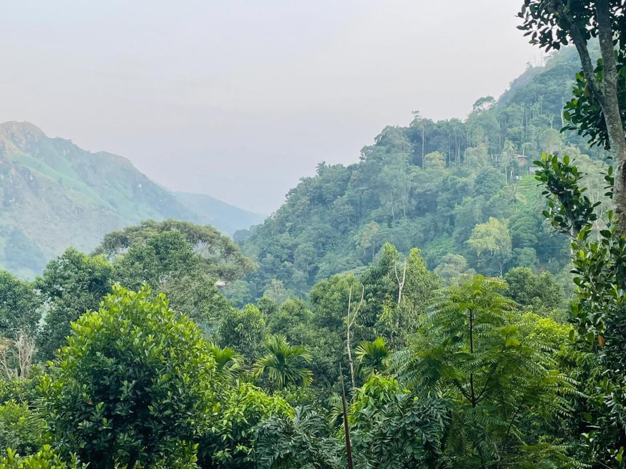 Mid Scenery Home Stay