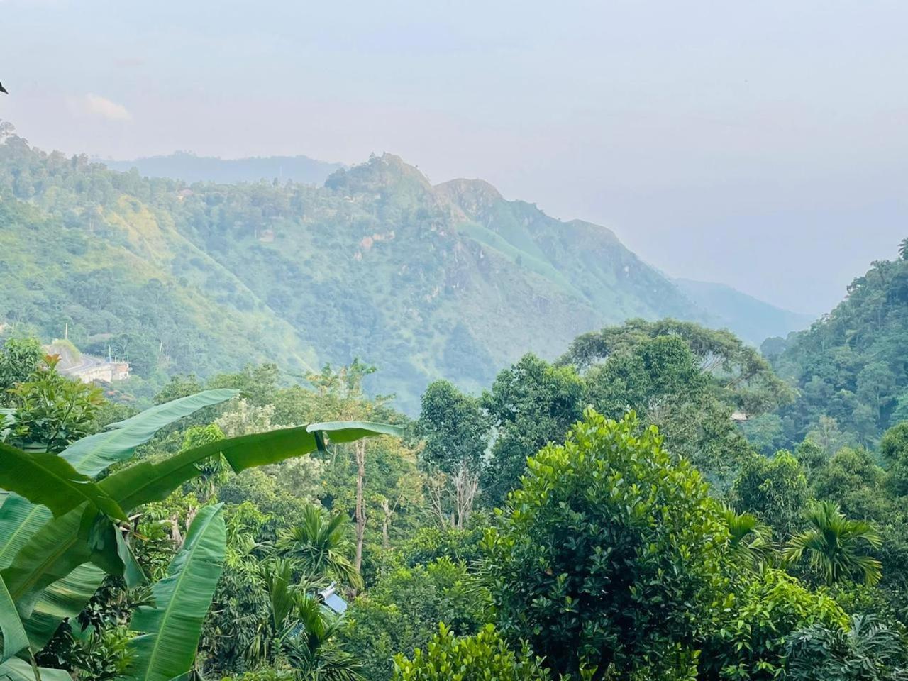 Mid Scenery Home Stay