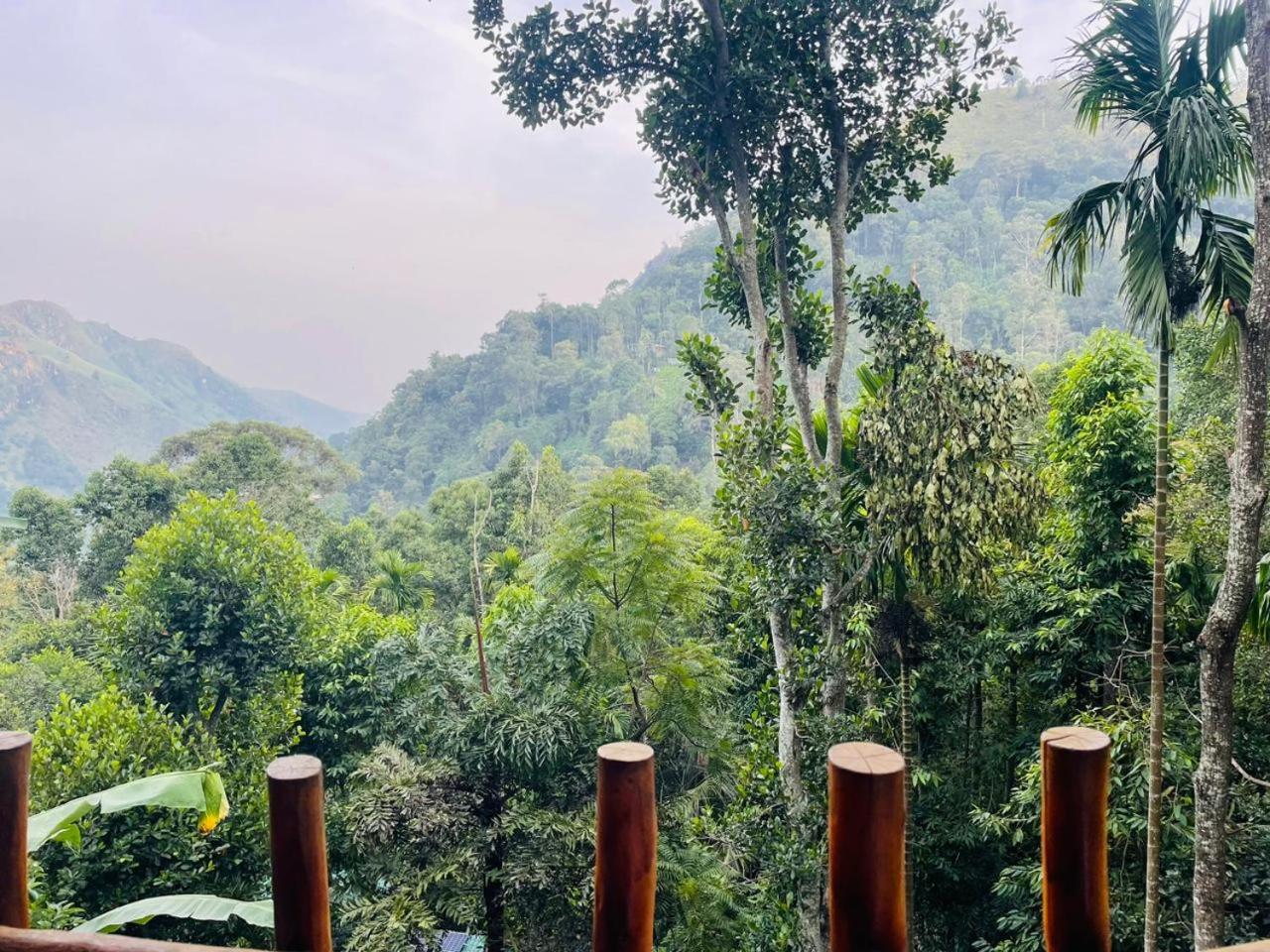 Mid Scenery Home Stay