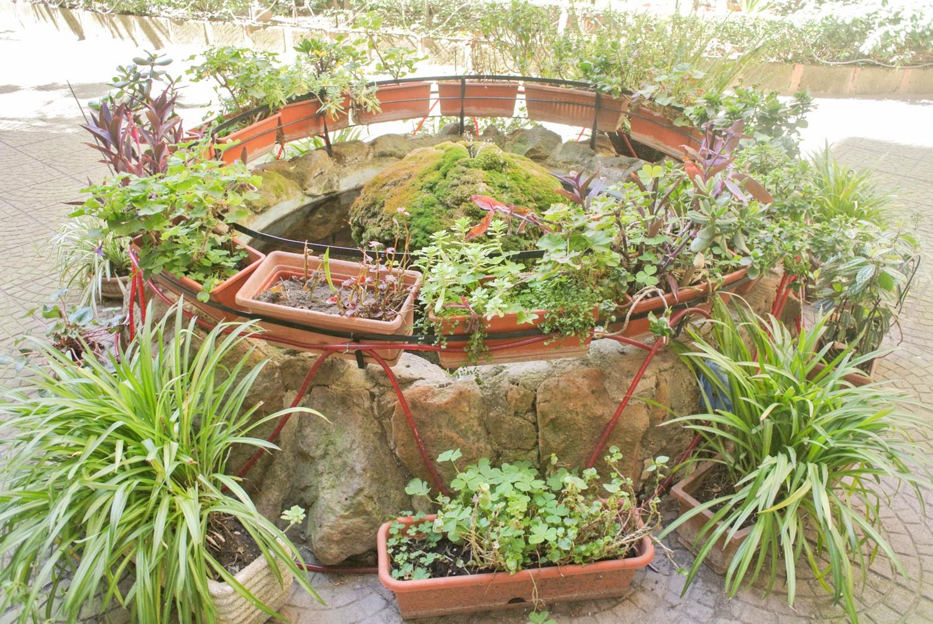 LarissaRooms