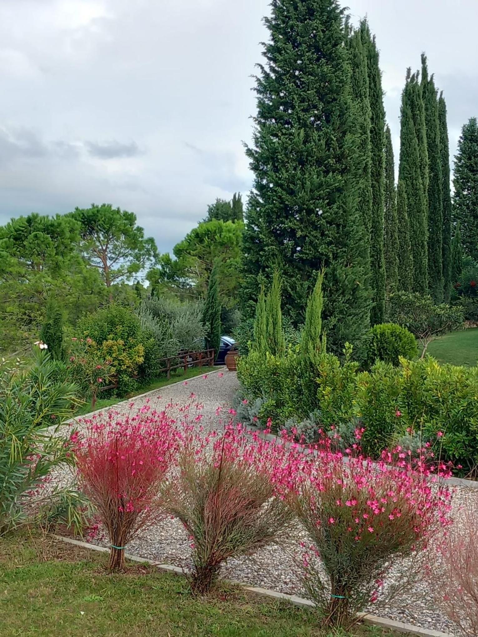 Tenuta Tegolato