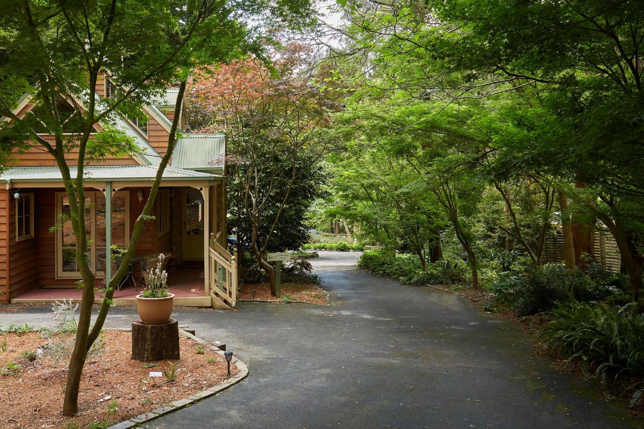 Fernhem Cottages- Love in the Mist