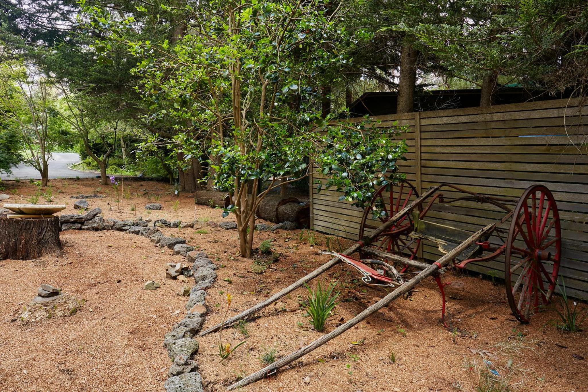 Fernhem Cottages- Love in the Mist