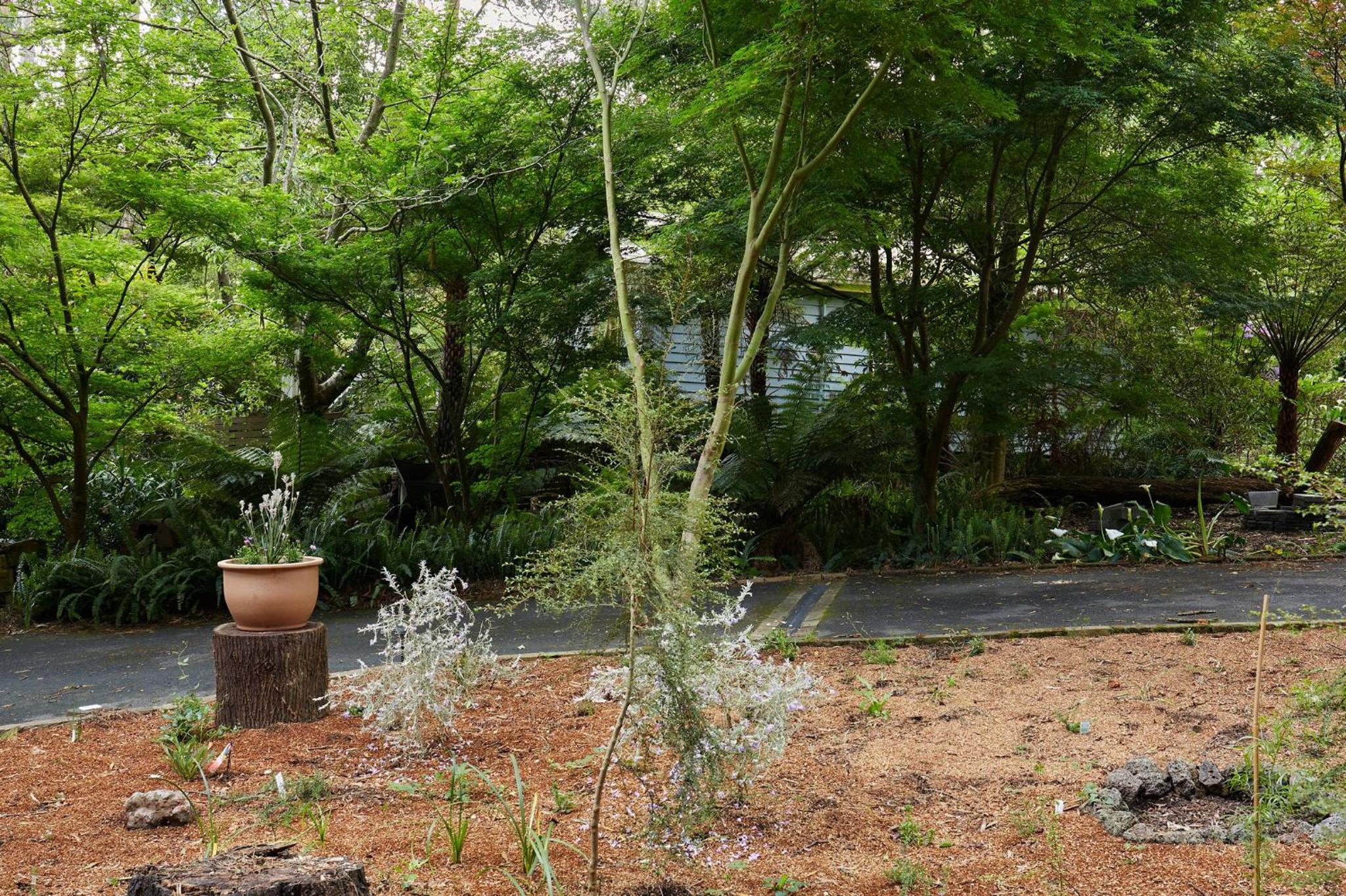 Fernhem Cottages- Love in the Mist