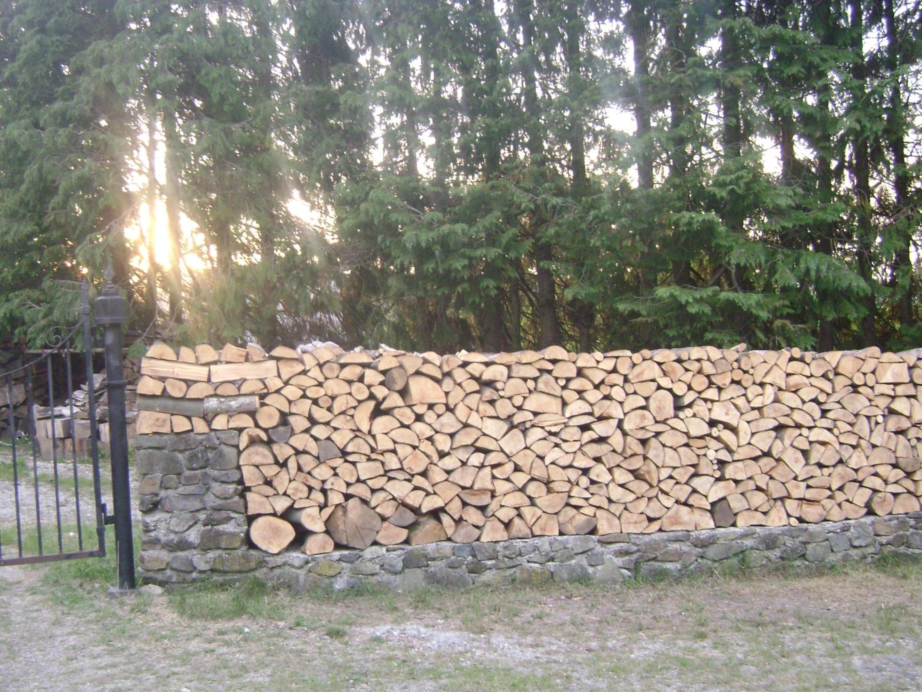 Photo 49