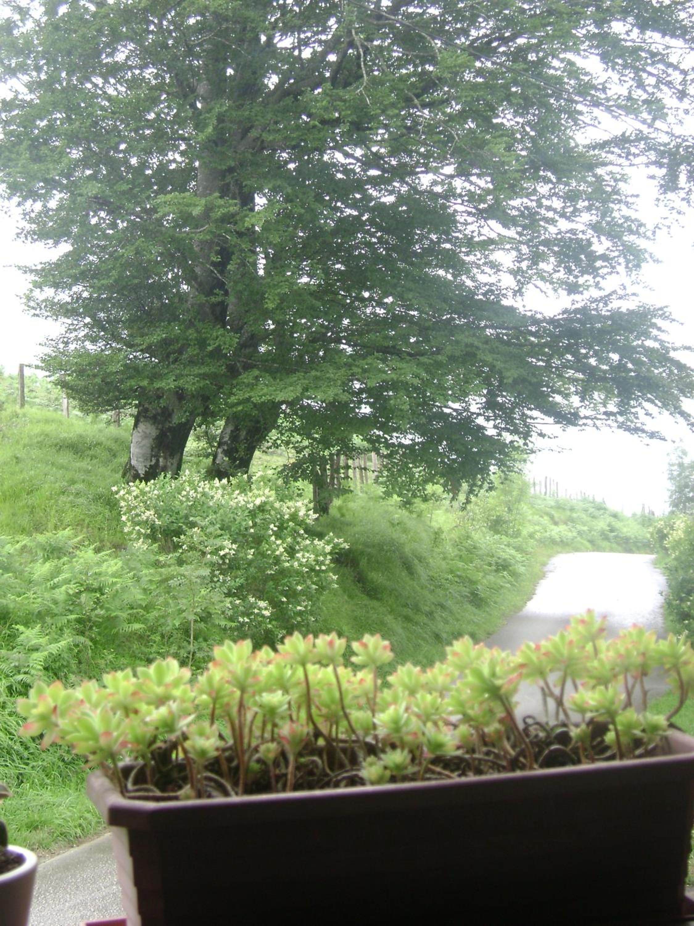 Photo 47