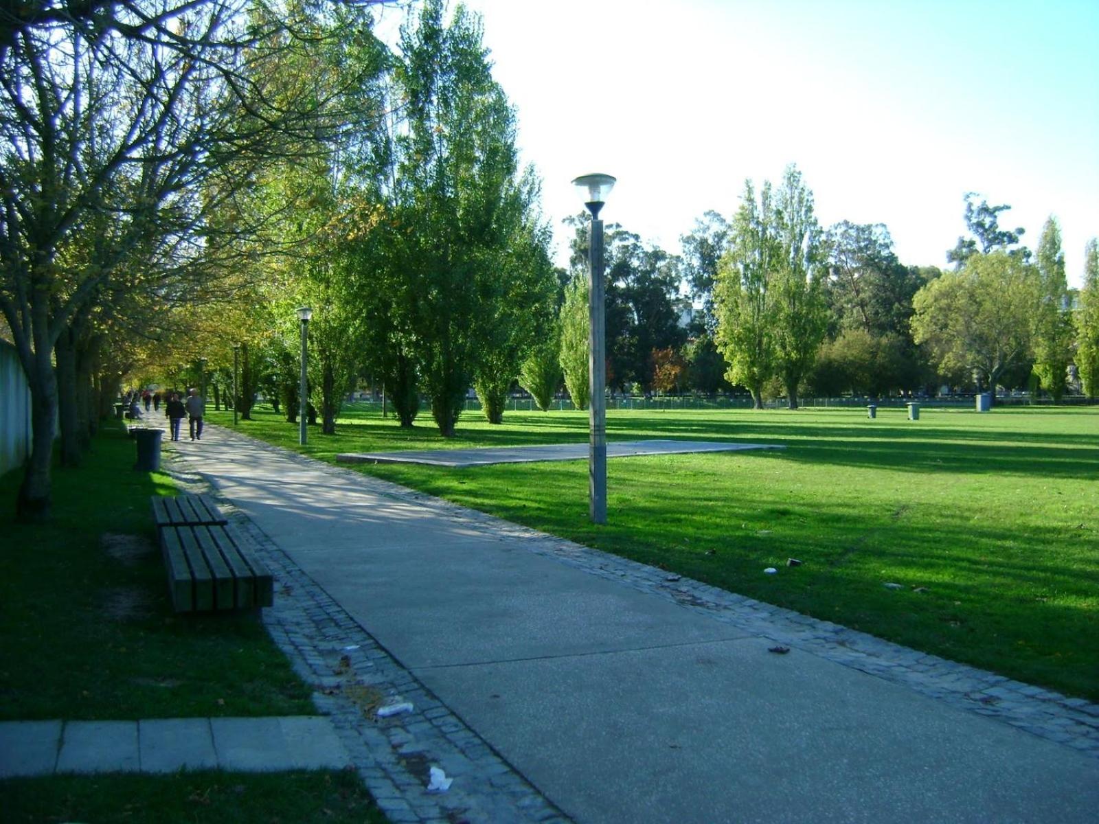 Photo 32