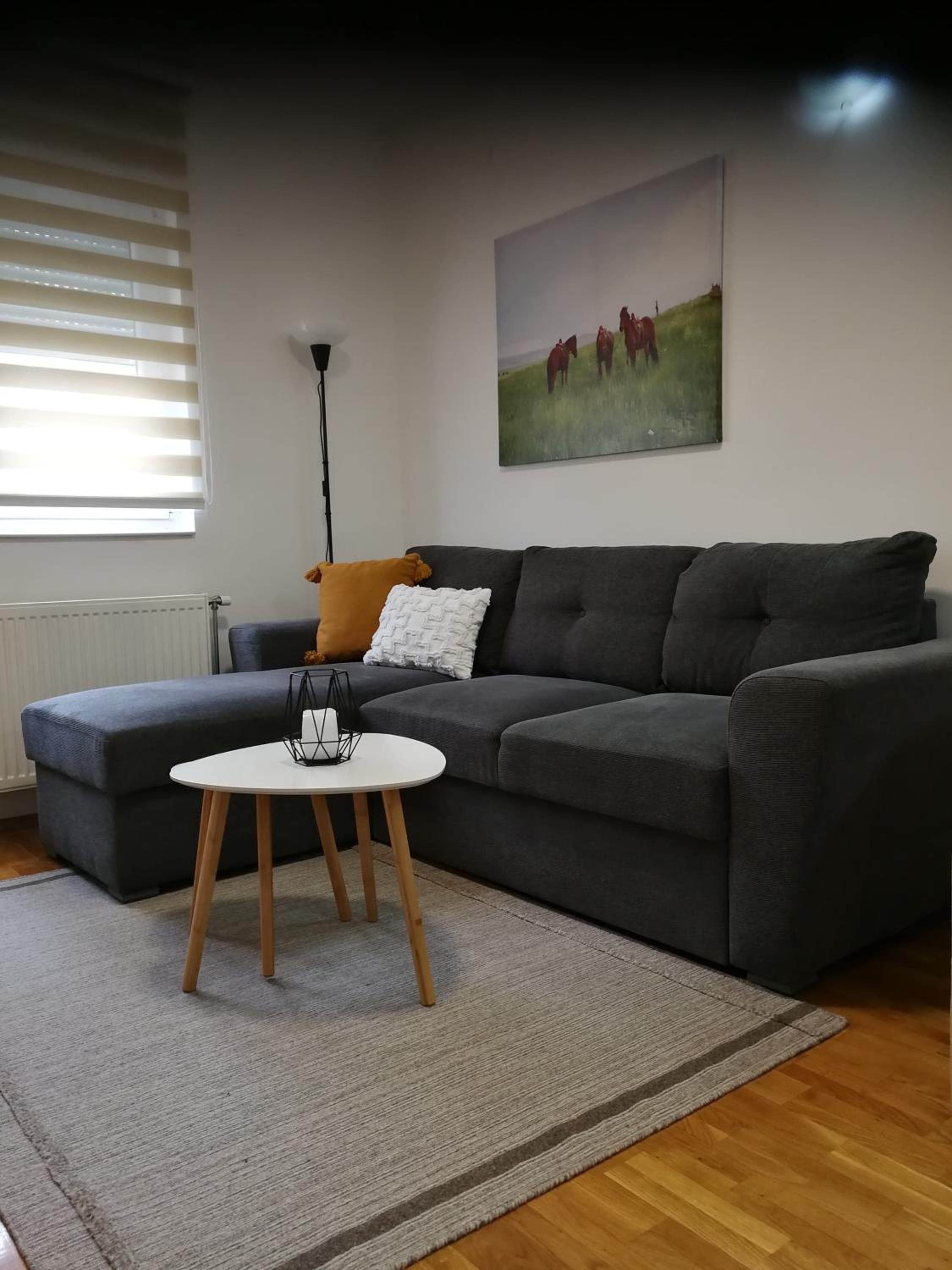 Apartman Pored reke view 3