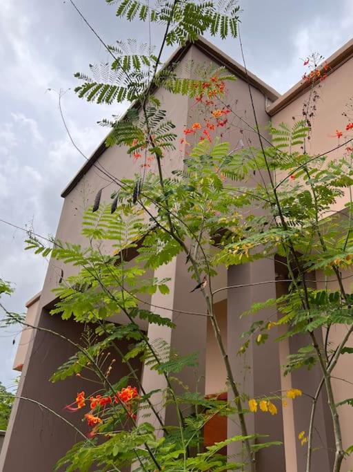 Villa 4 Chambres avec piscine sur Kribi