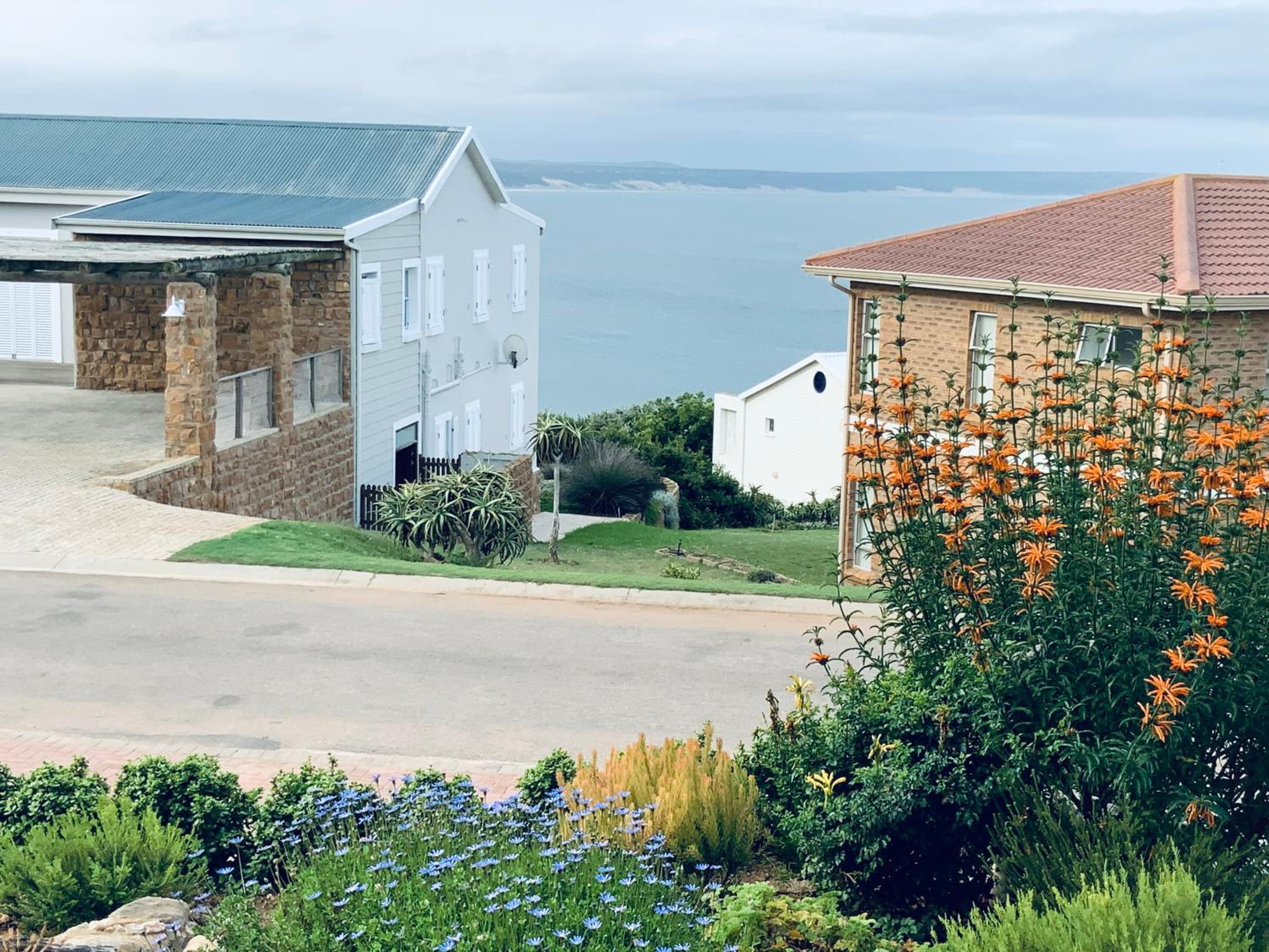 Csig Vleesbaai