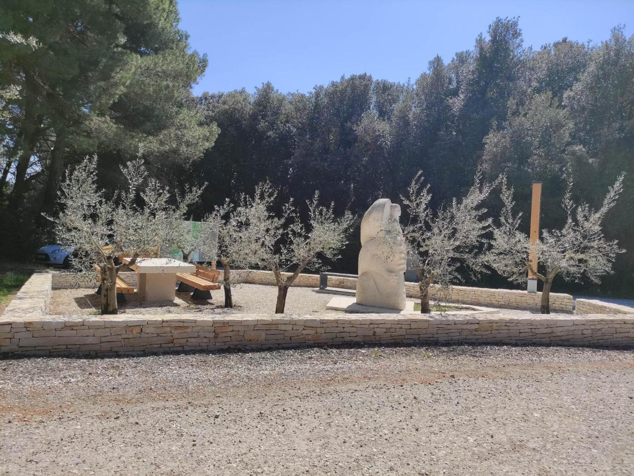 Photo 19