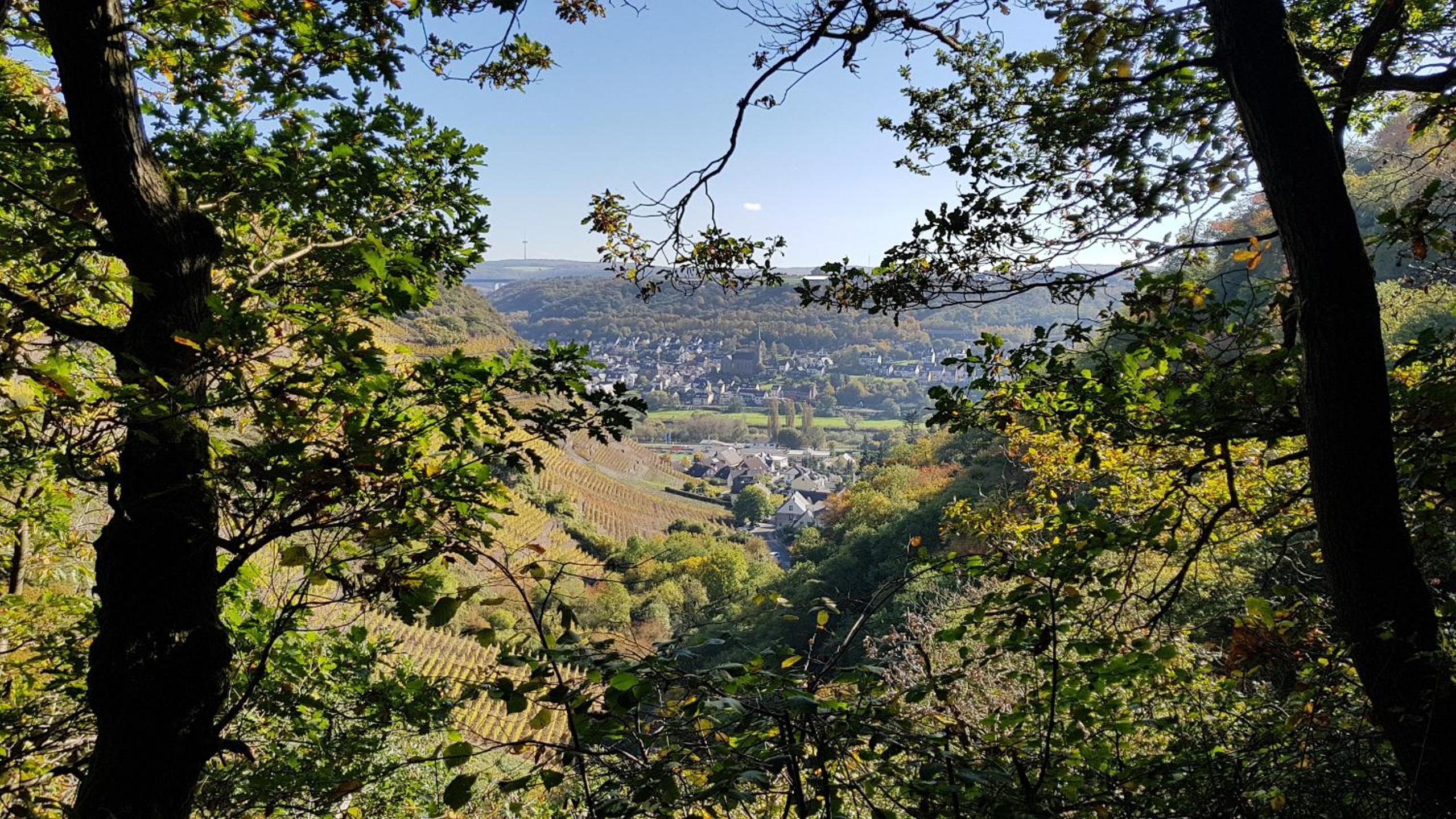 Landgasthaus Zur Kupferkanne