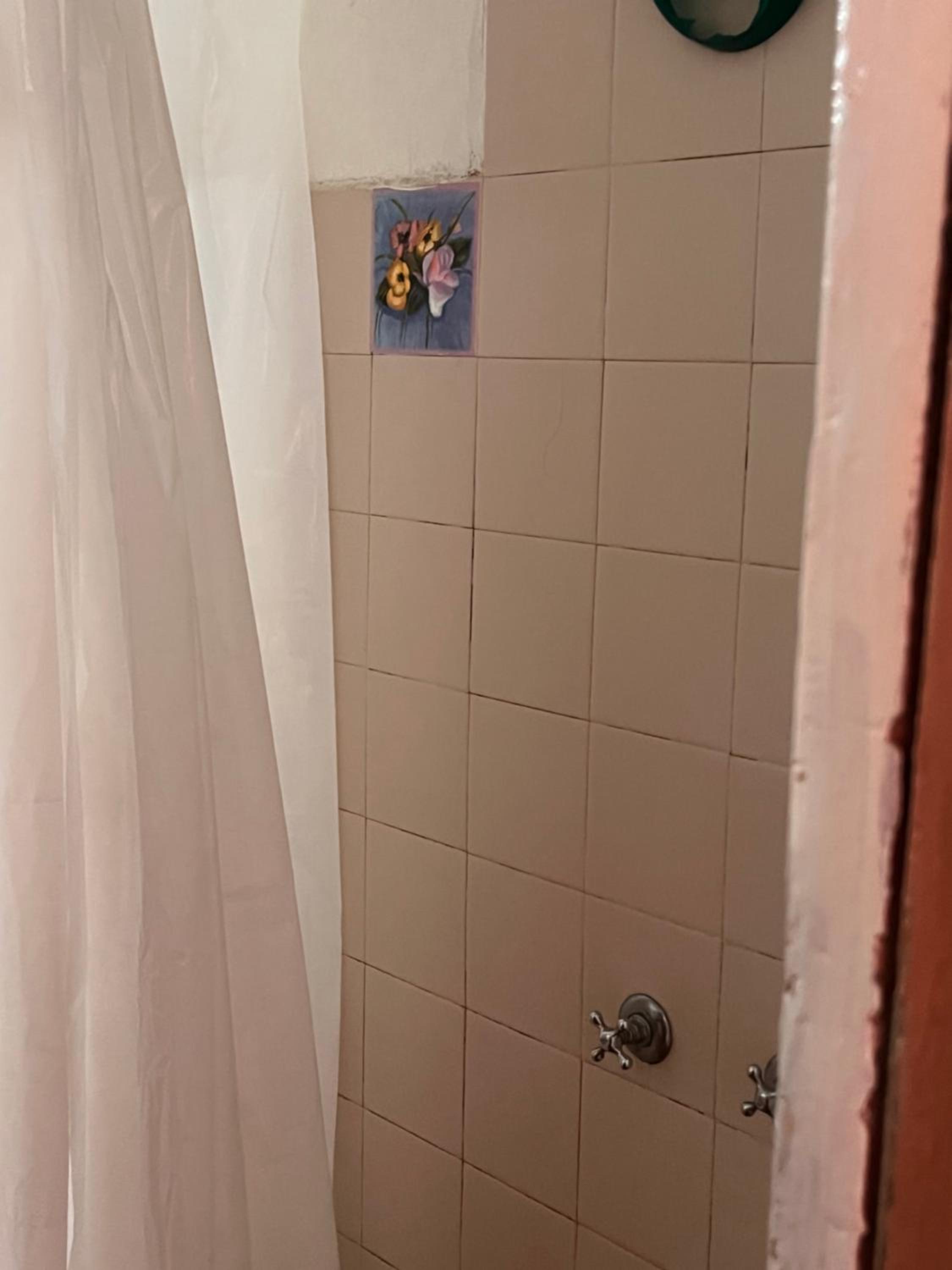 hermosa cabaña