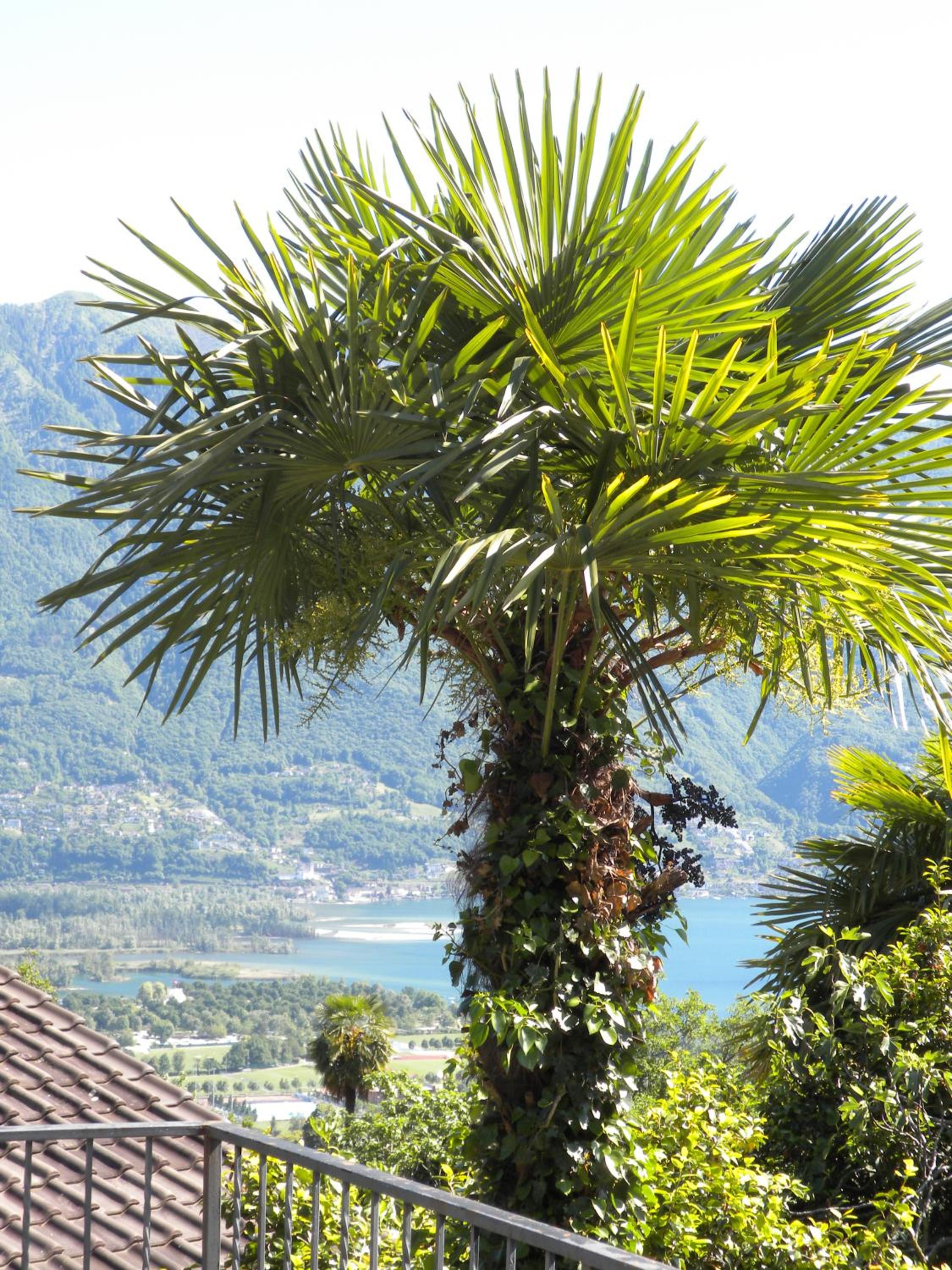 Casa Solaria view 3