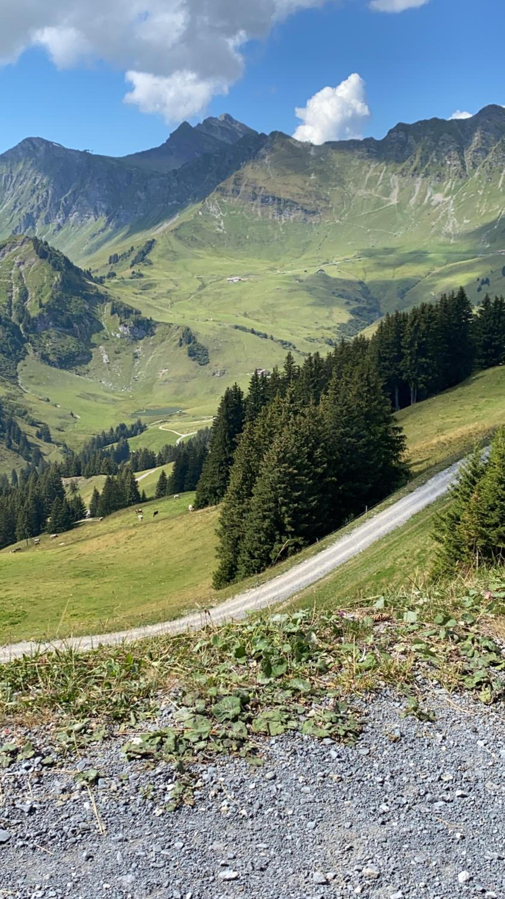 Val D’Illiez mountain apartment.