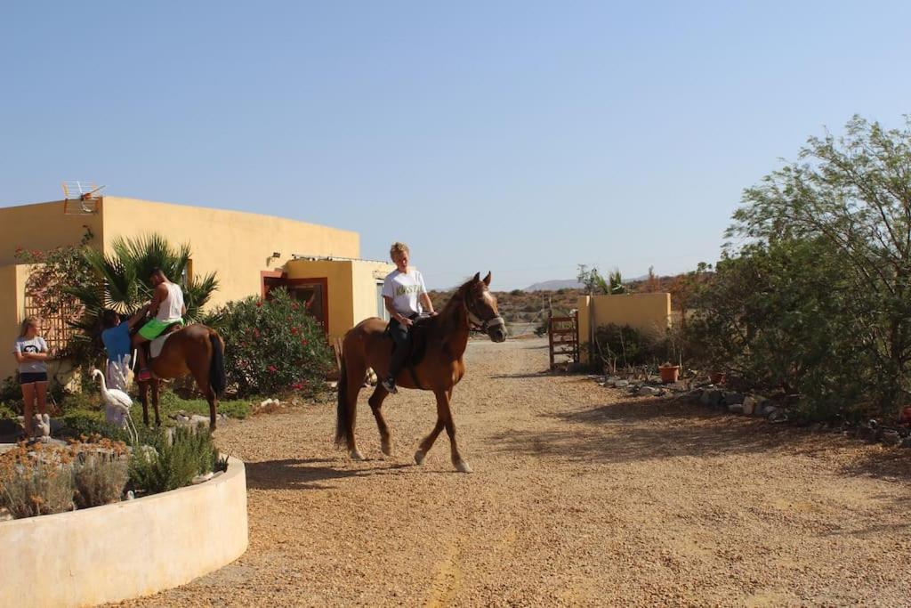Desert Escapes