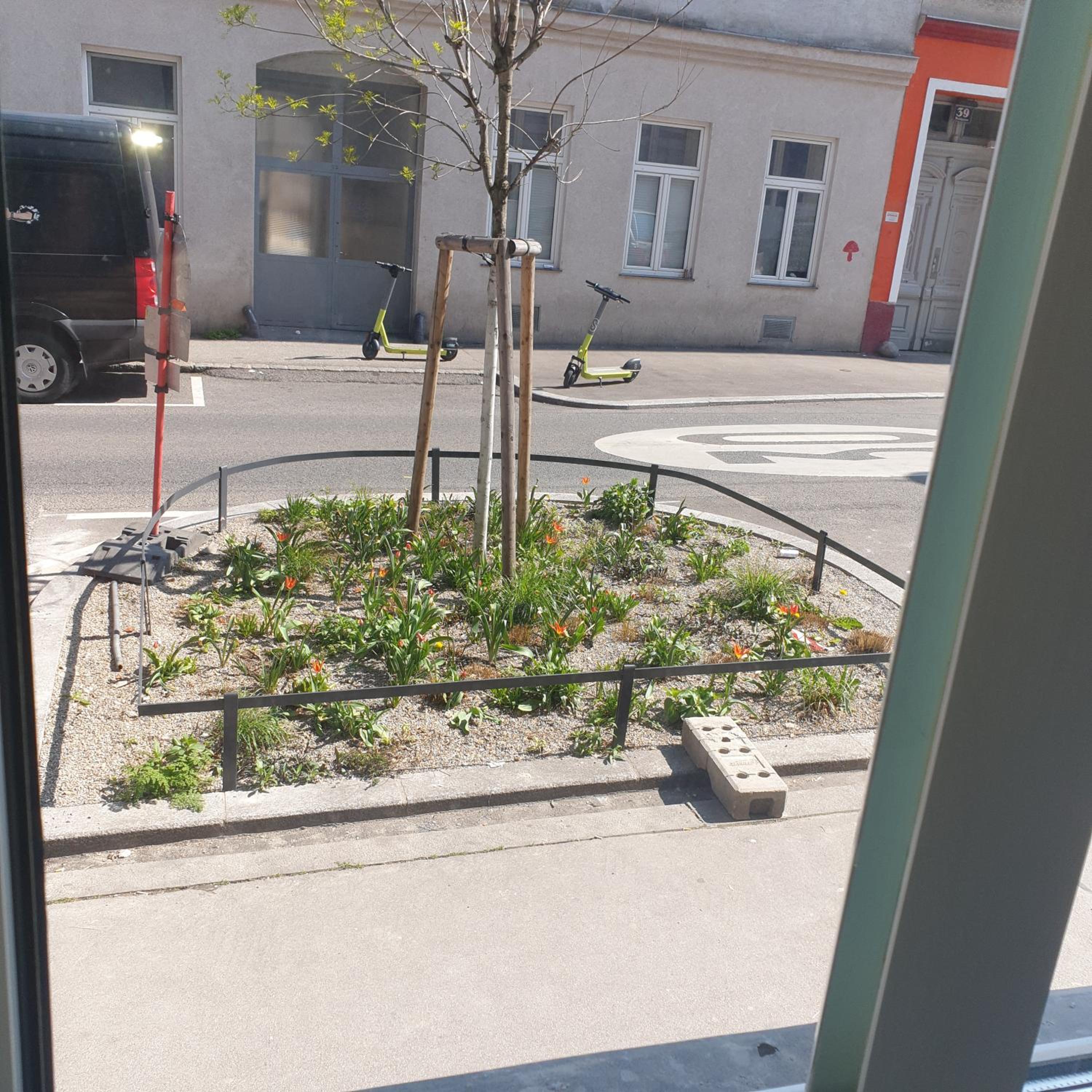 Weißes Appartement