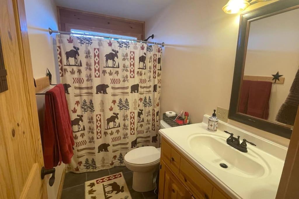 Photo 21