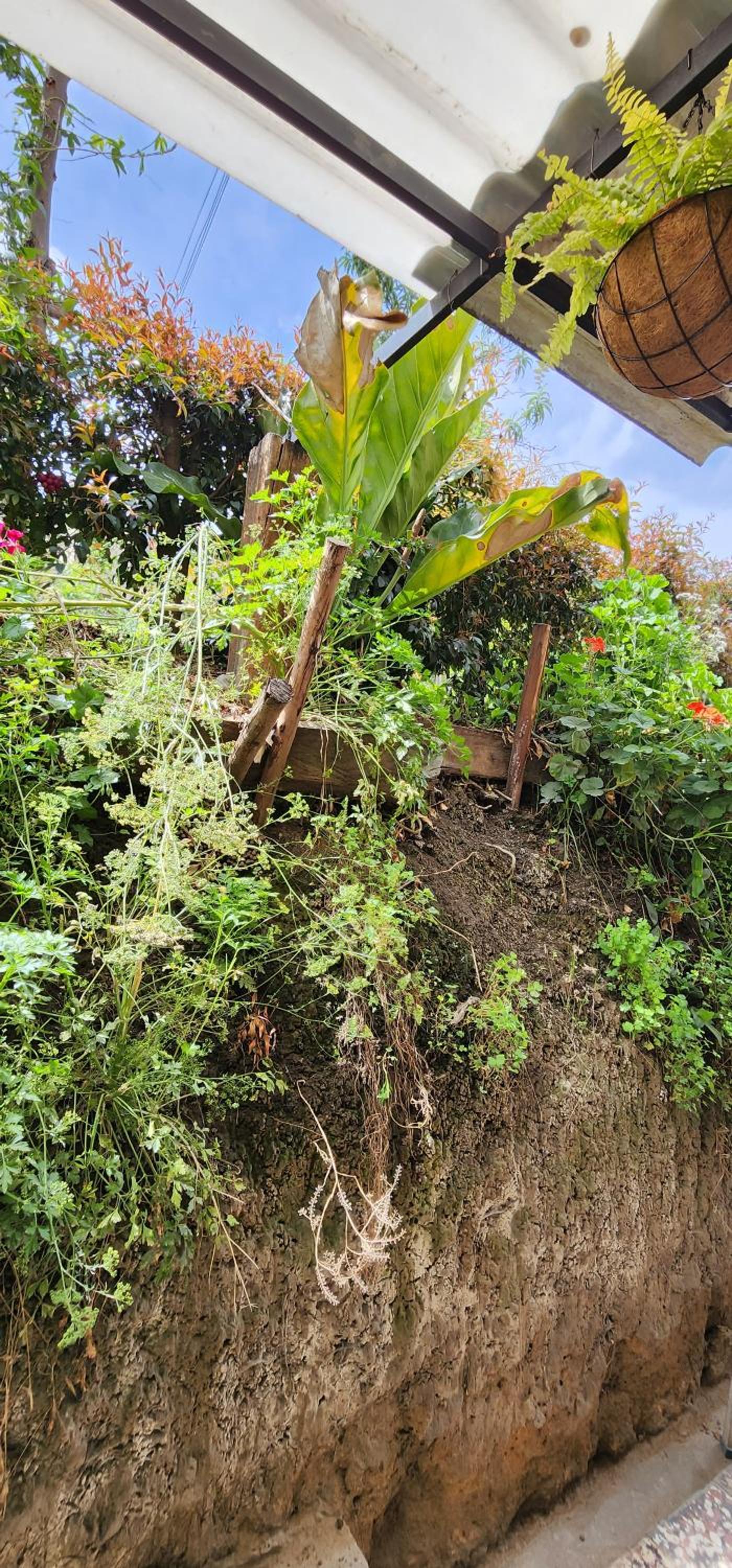 Casa Campestre Las Margaritas