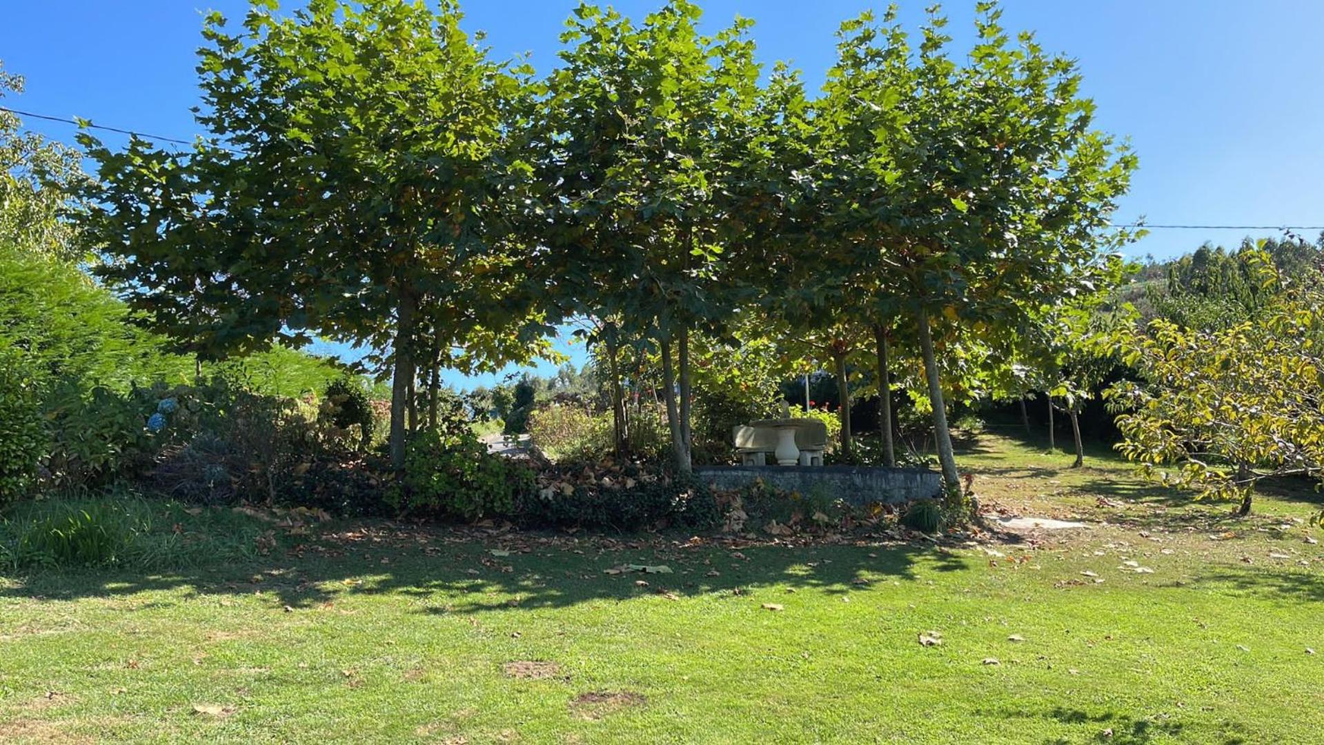 VILLA OLIMAR