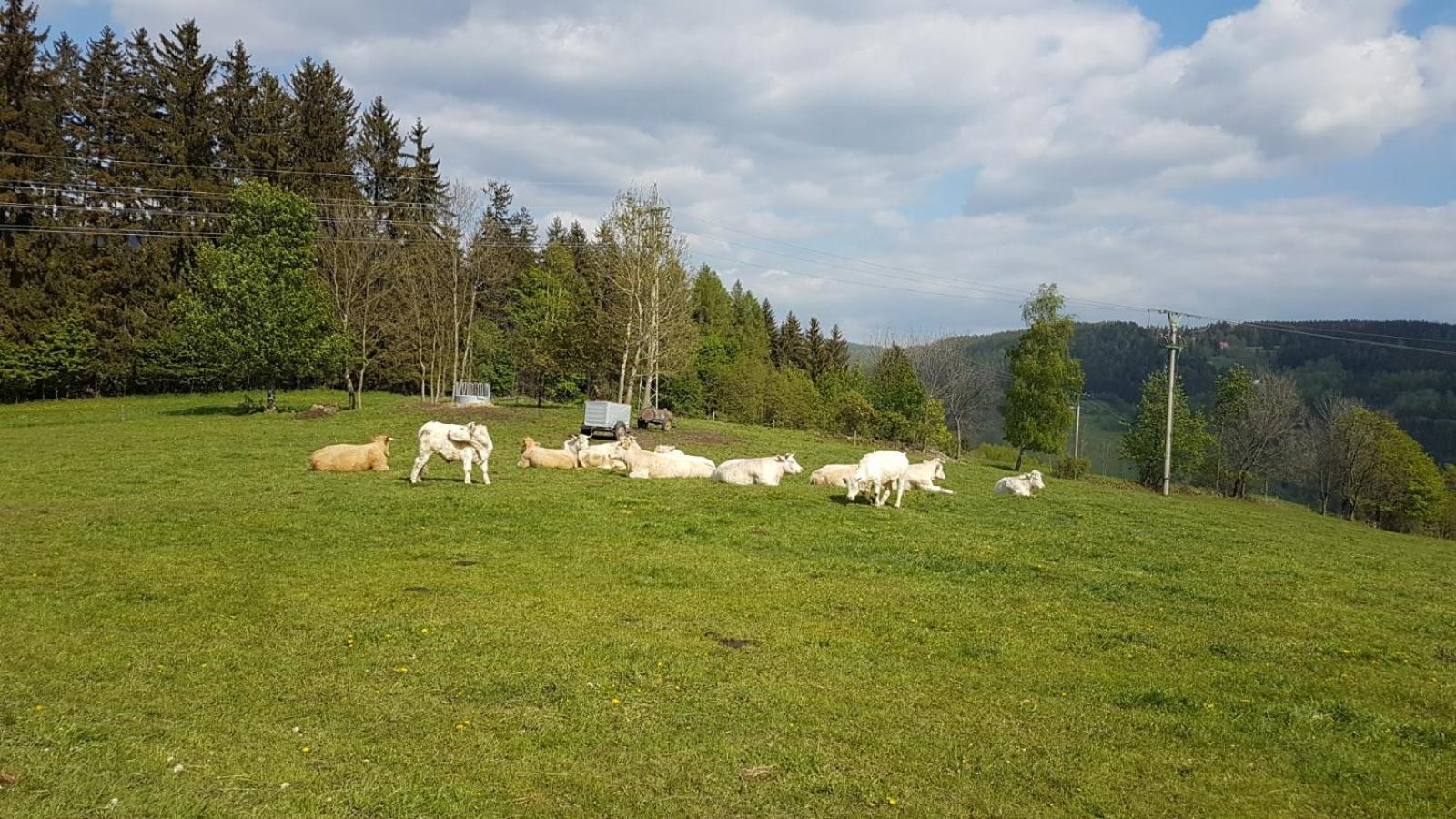 Apartmán Rokytnice, Rokytno 20