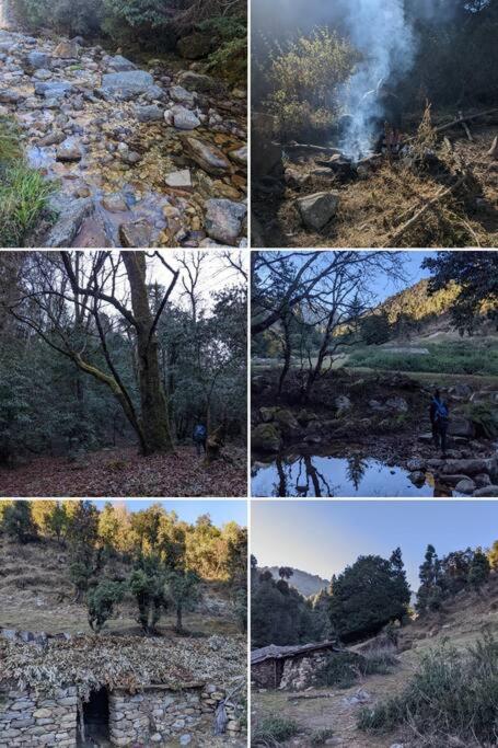 Photo 27