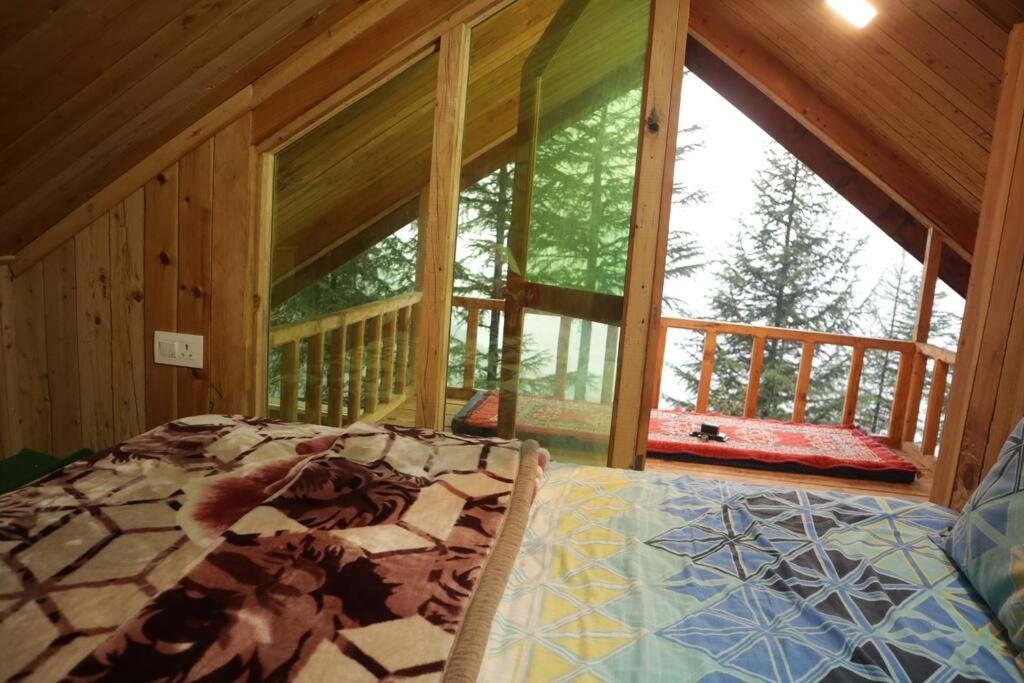 Himalayan Cedar Nest