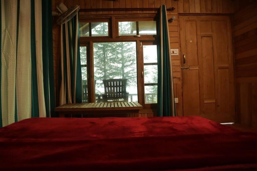 Himalayan Cedar Nest