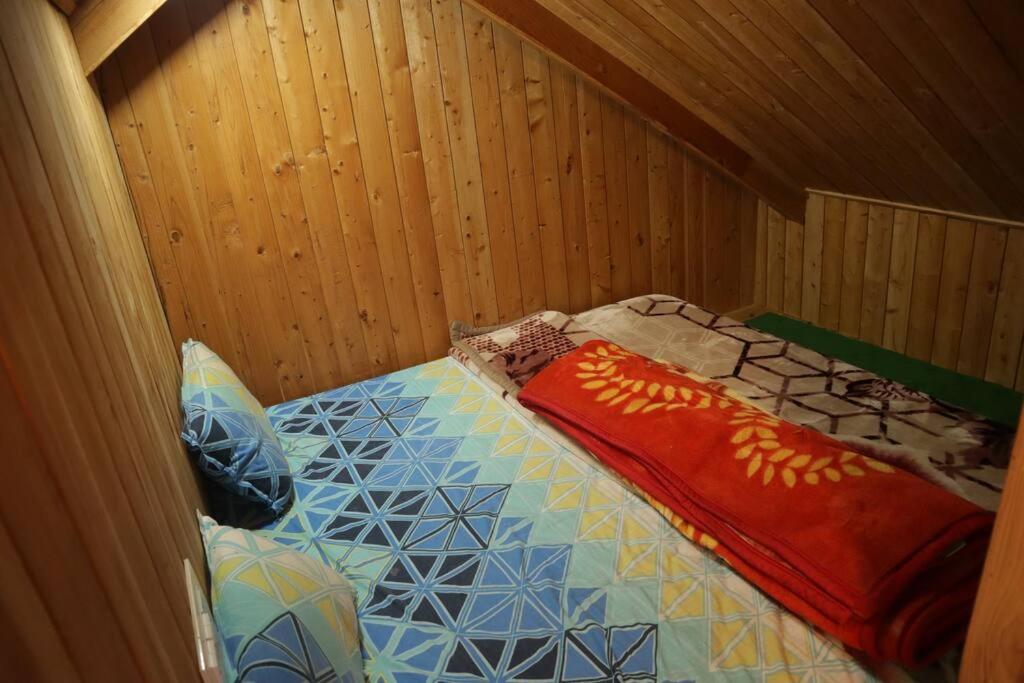 Himalayan Cedar Nest