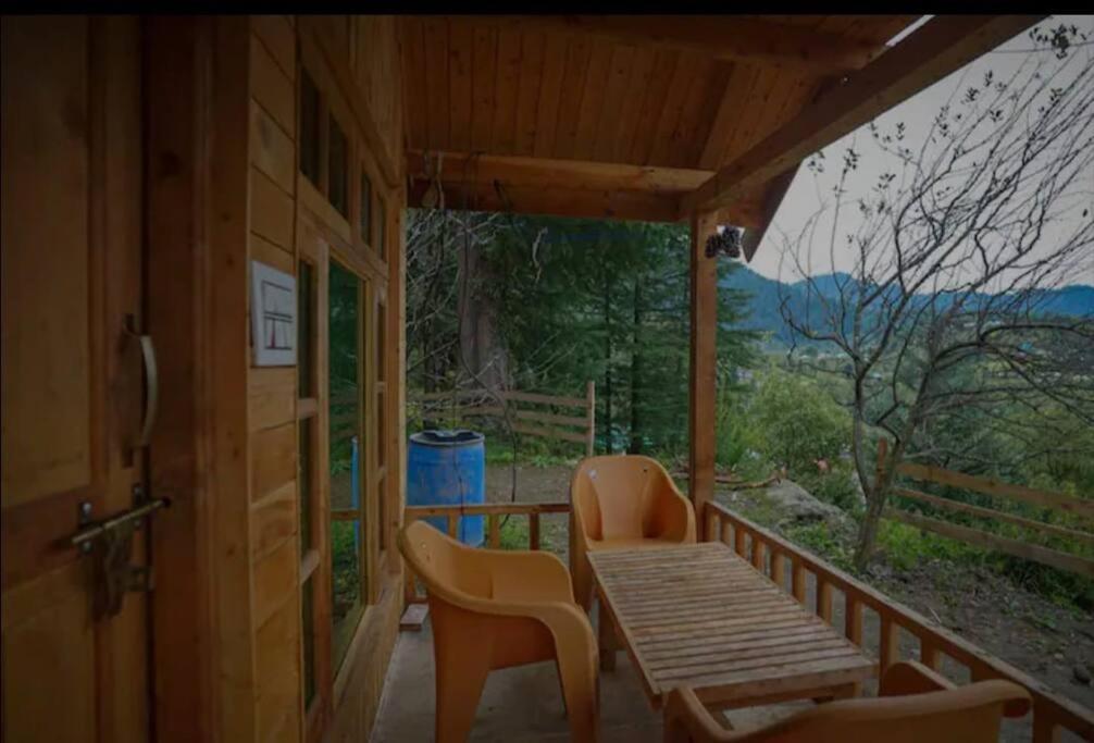 Himalayan Cedar Nest