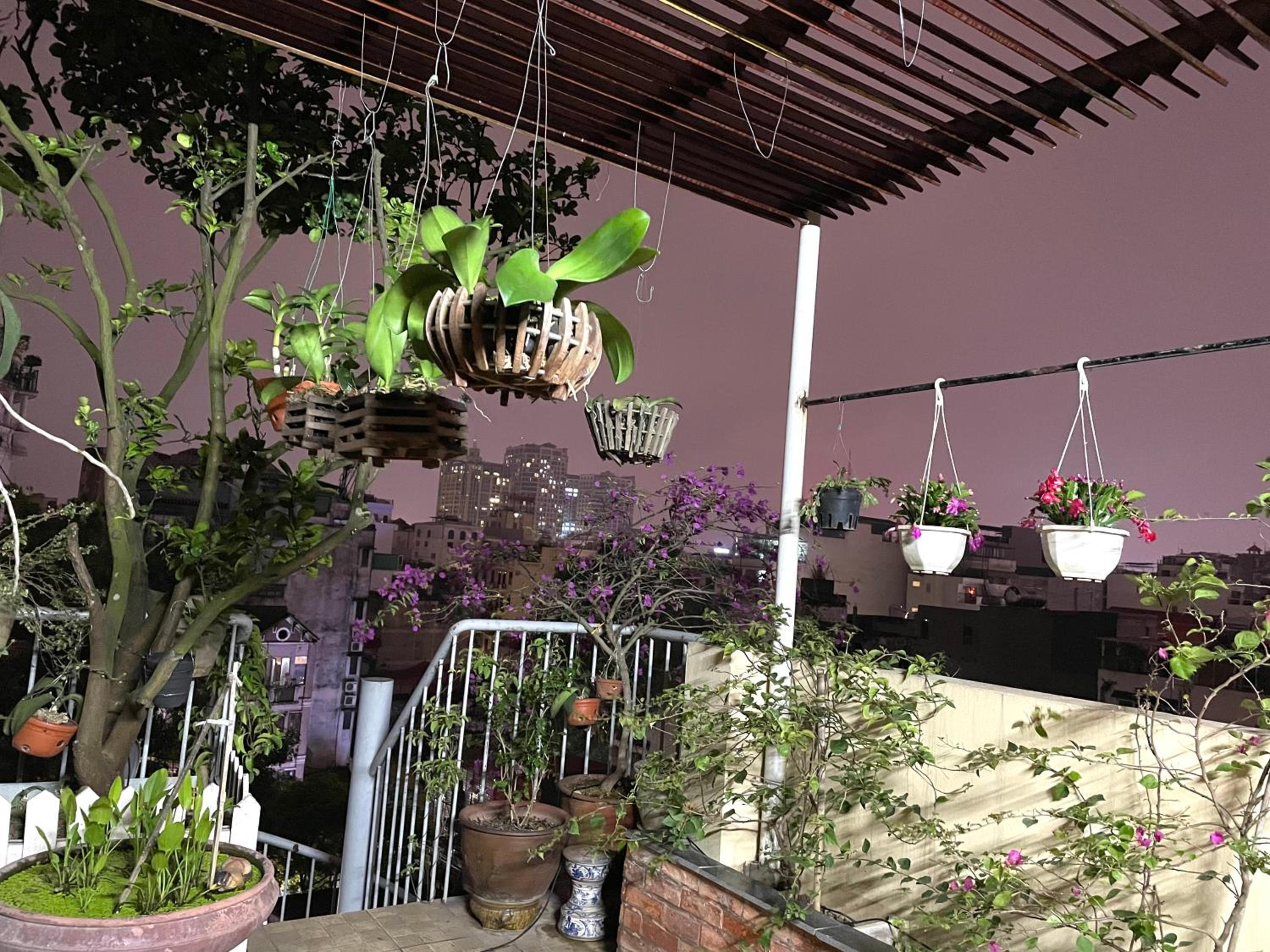 May Residence-800m from Opera House