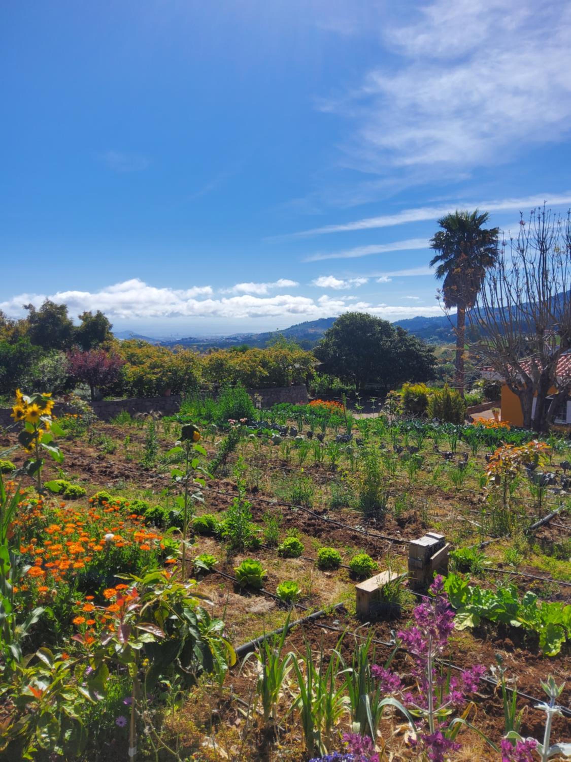 Ecofinca Selva Doramas