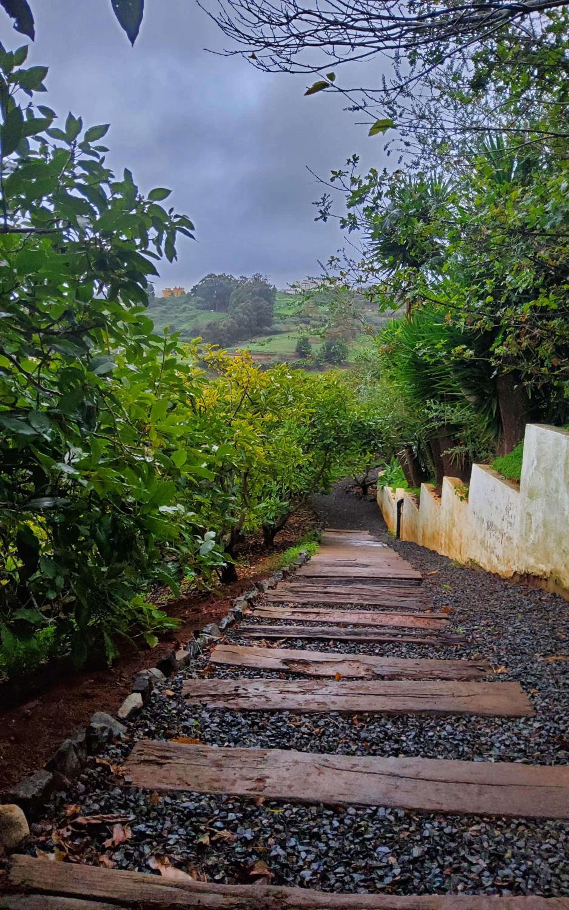 Ecofinca Selva Doramas