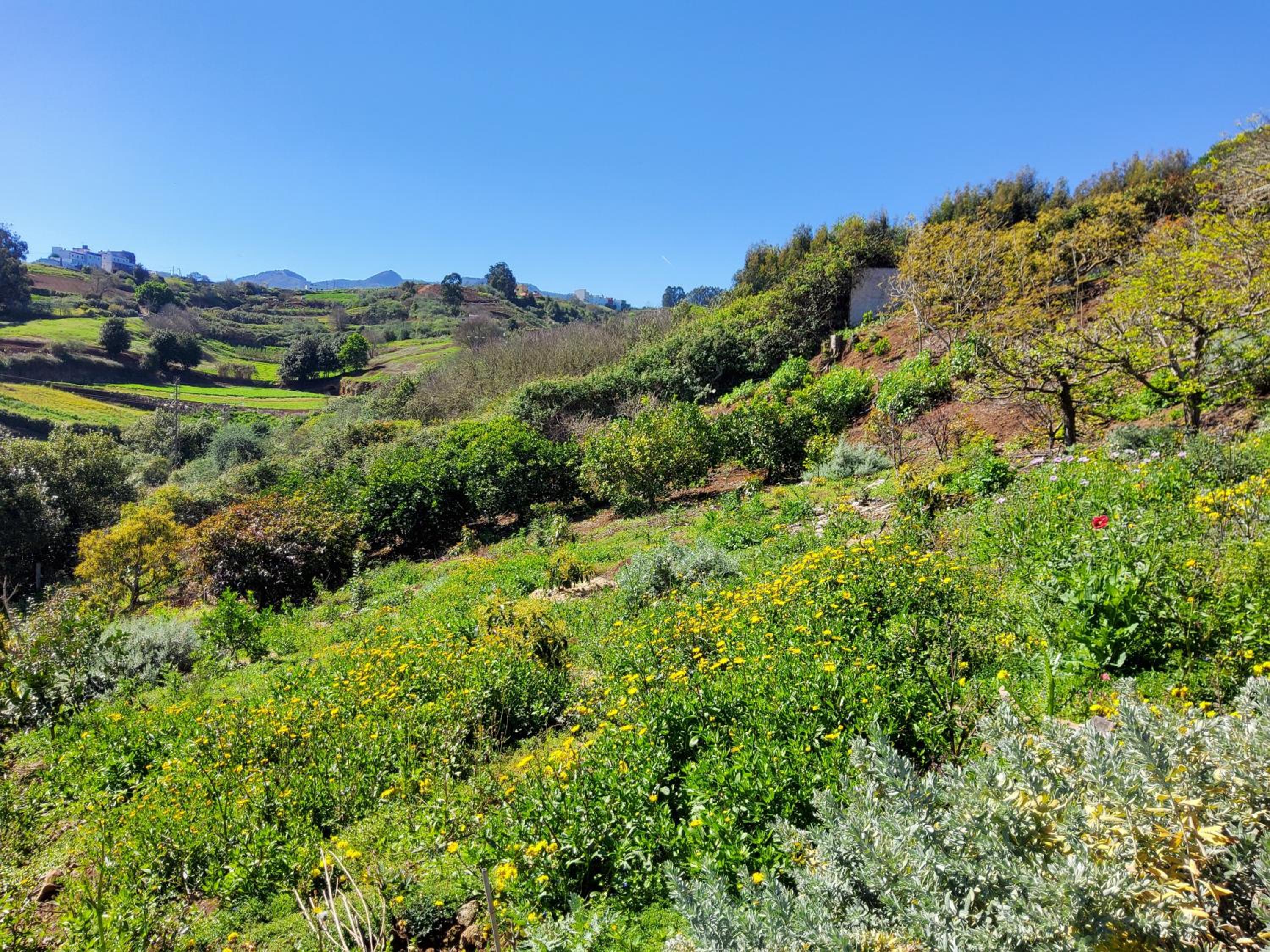 Ecofinca Selva Doramas