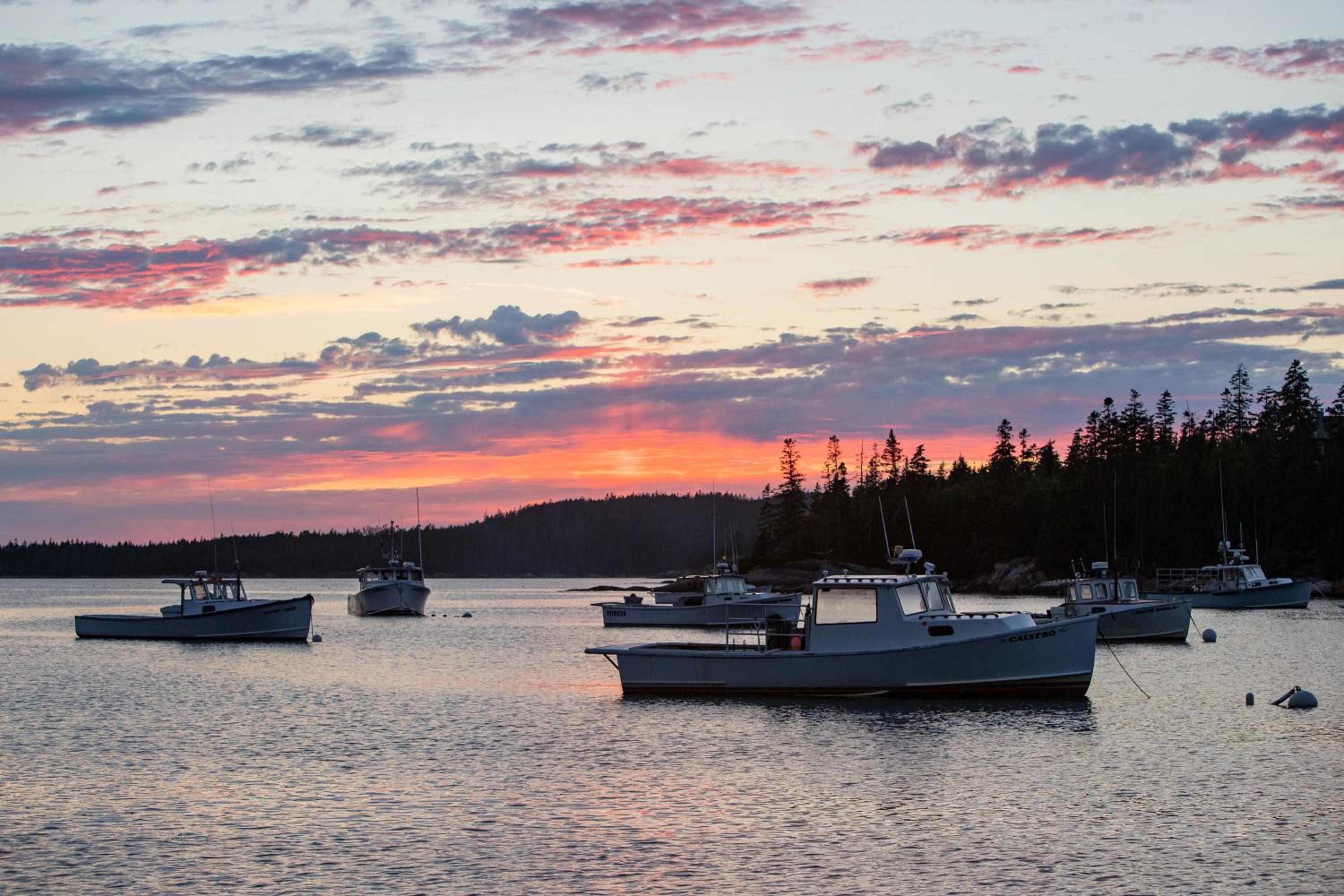 Fifield Lobster Overlook view 2
