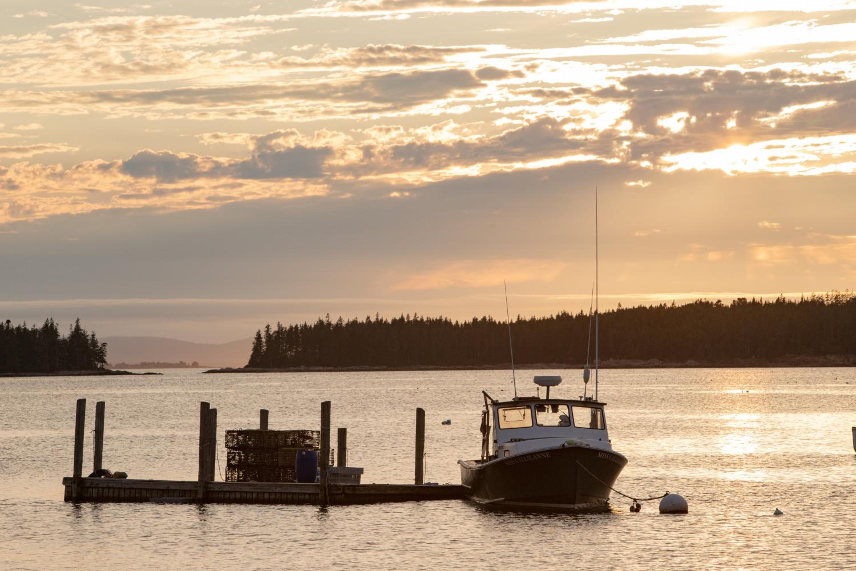Fifield Lobster Overlook view 3
